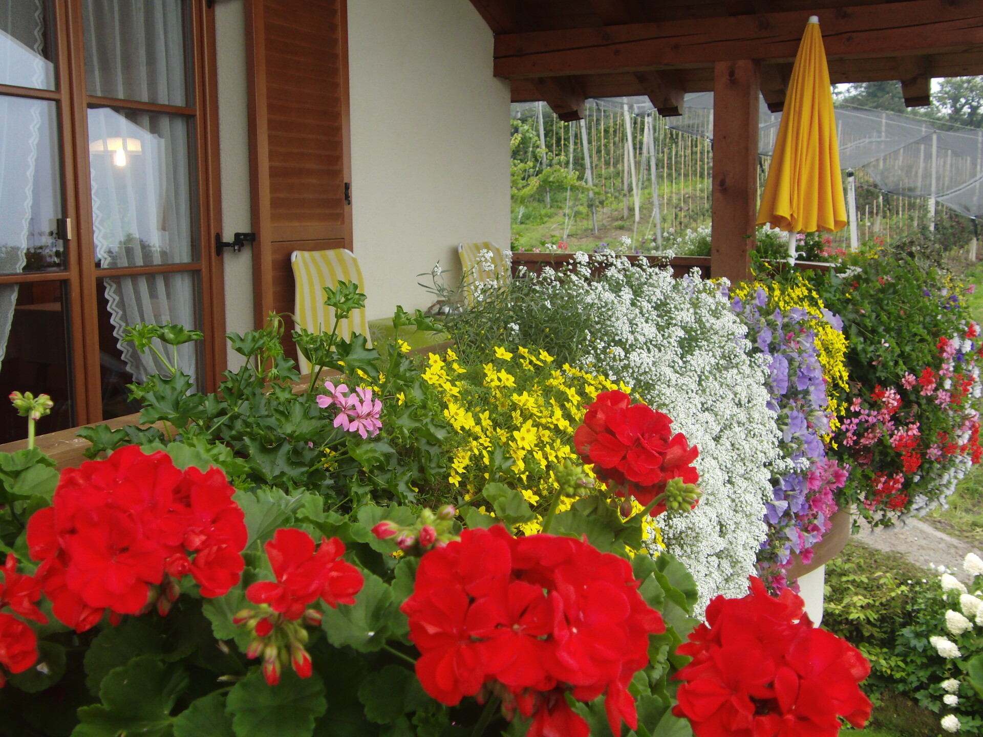 Ferienhaus Baumgartnerhof - Meran/Merano and environs - #6 - suedtirol.info