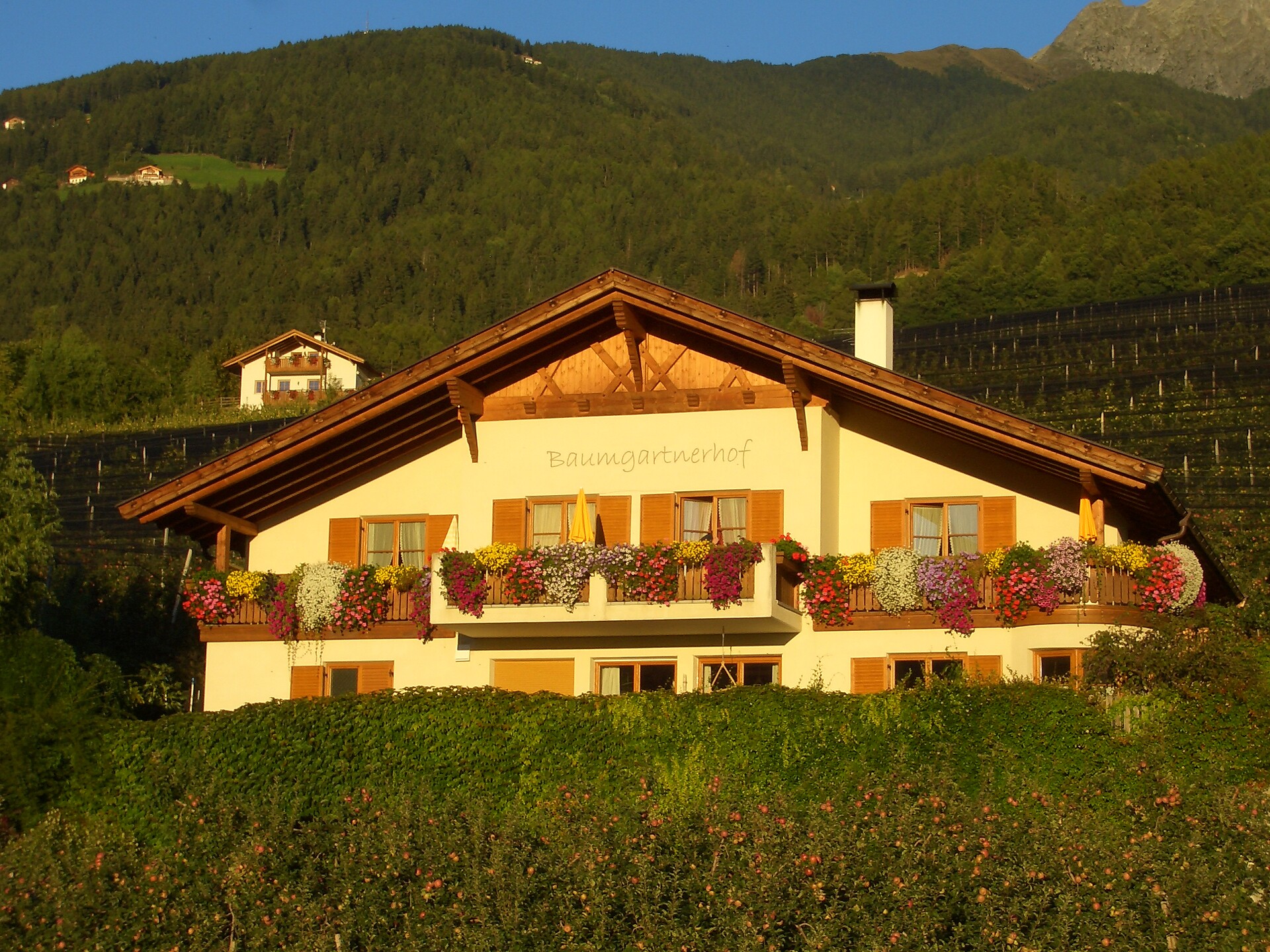 Haus