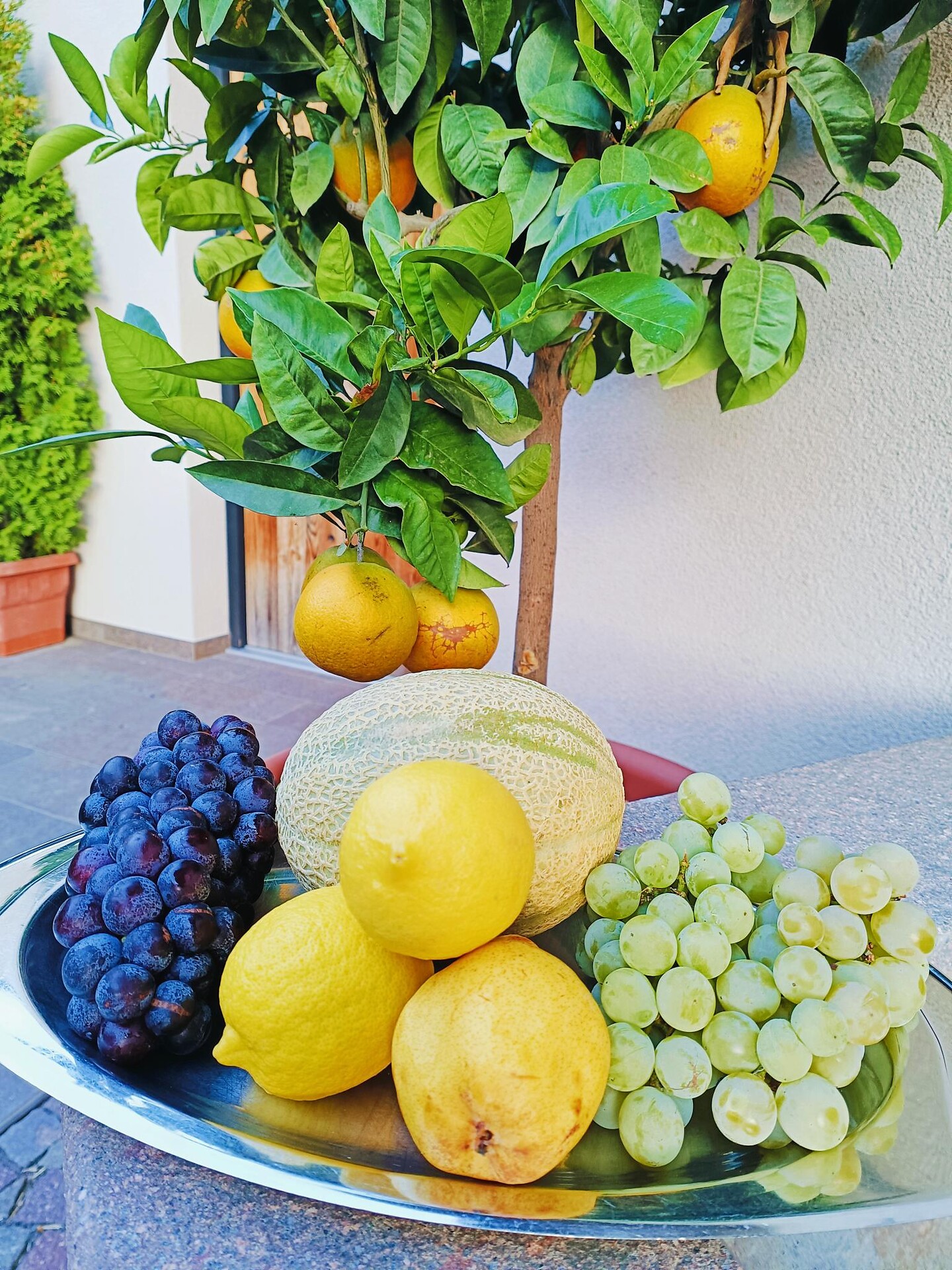 Obst und Gemüse aus eigenem Anbau
