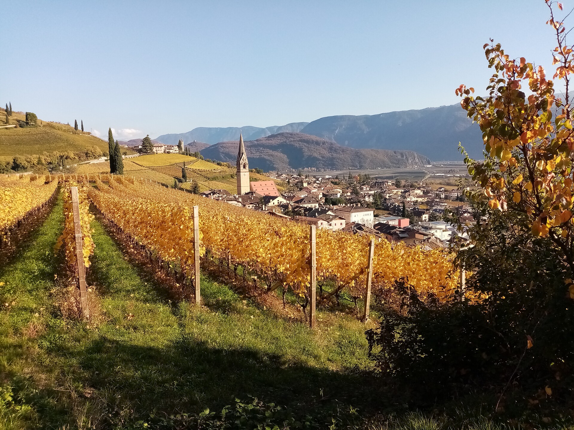 Panorama