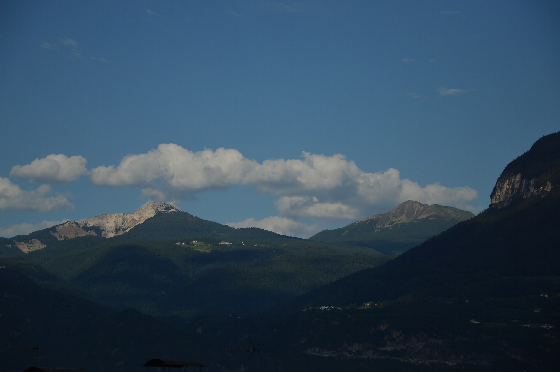 Corno bianco e corno nero