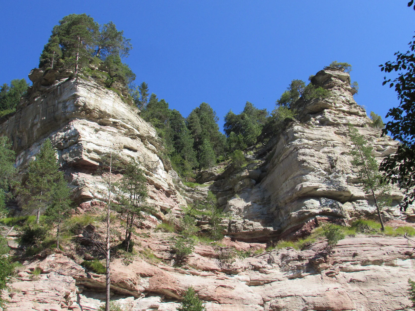 Slide 25