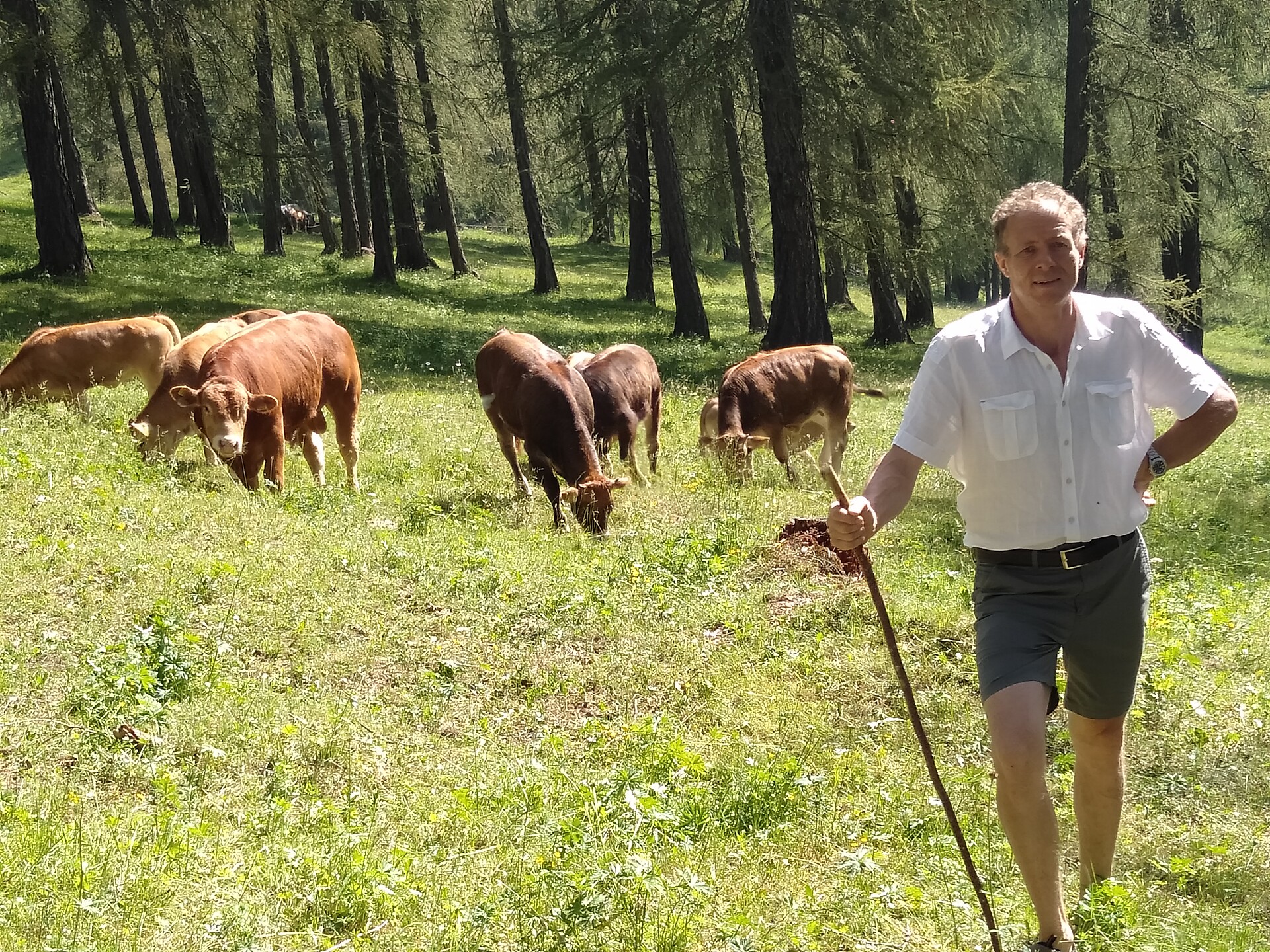 Il contadino con la sua mandria