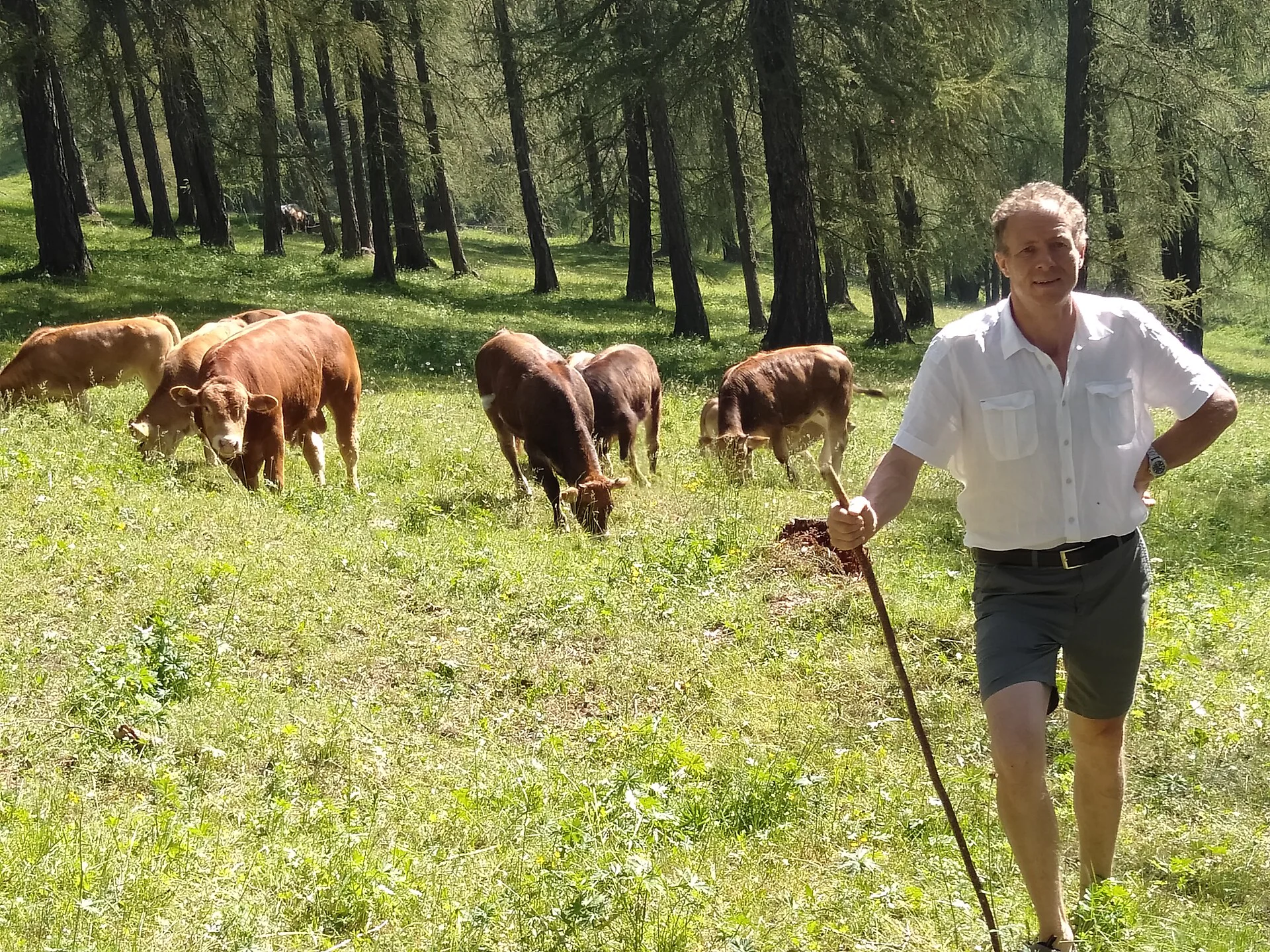 Appartamento Schornhof Aldino 15 suedtirol.info
