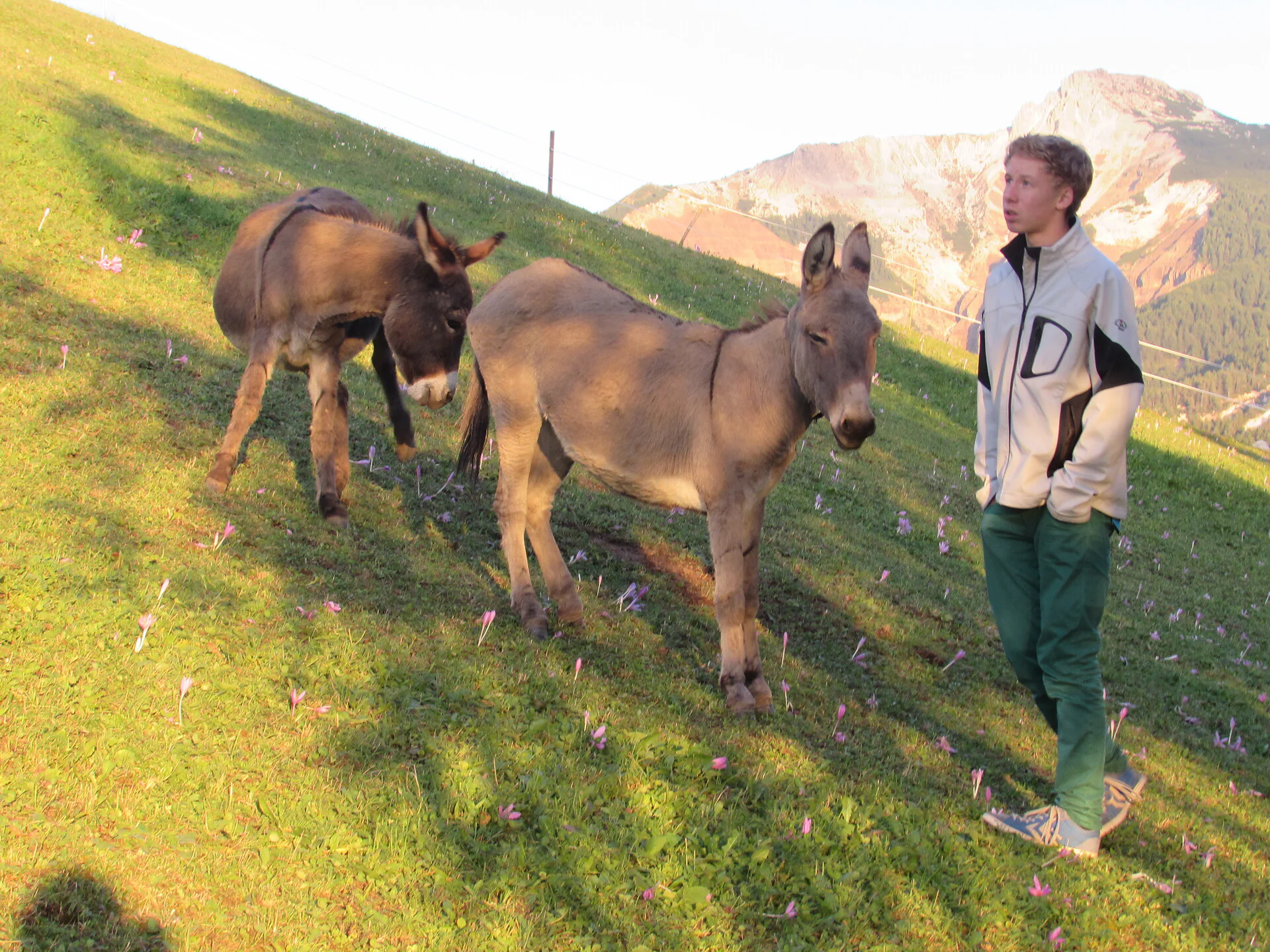 Appartamento Schornhof Aldino 3 suedtirol.info