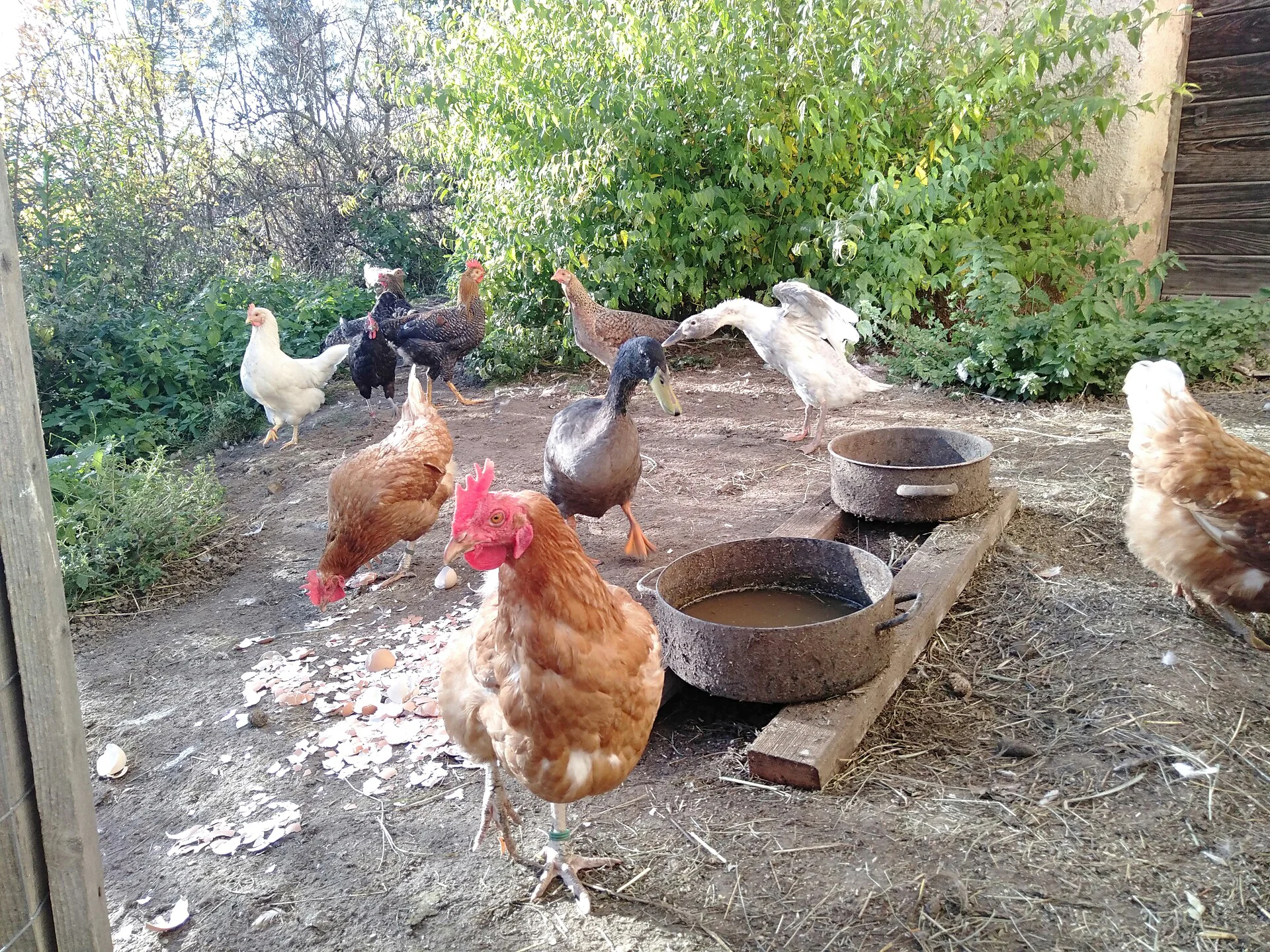 Appartamento Schornhof Aldino 19 suedtirol.info