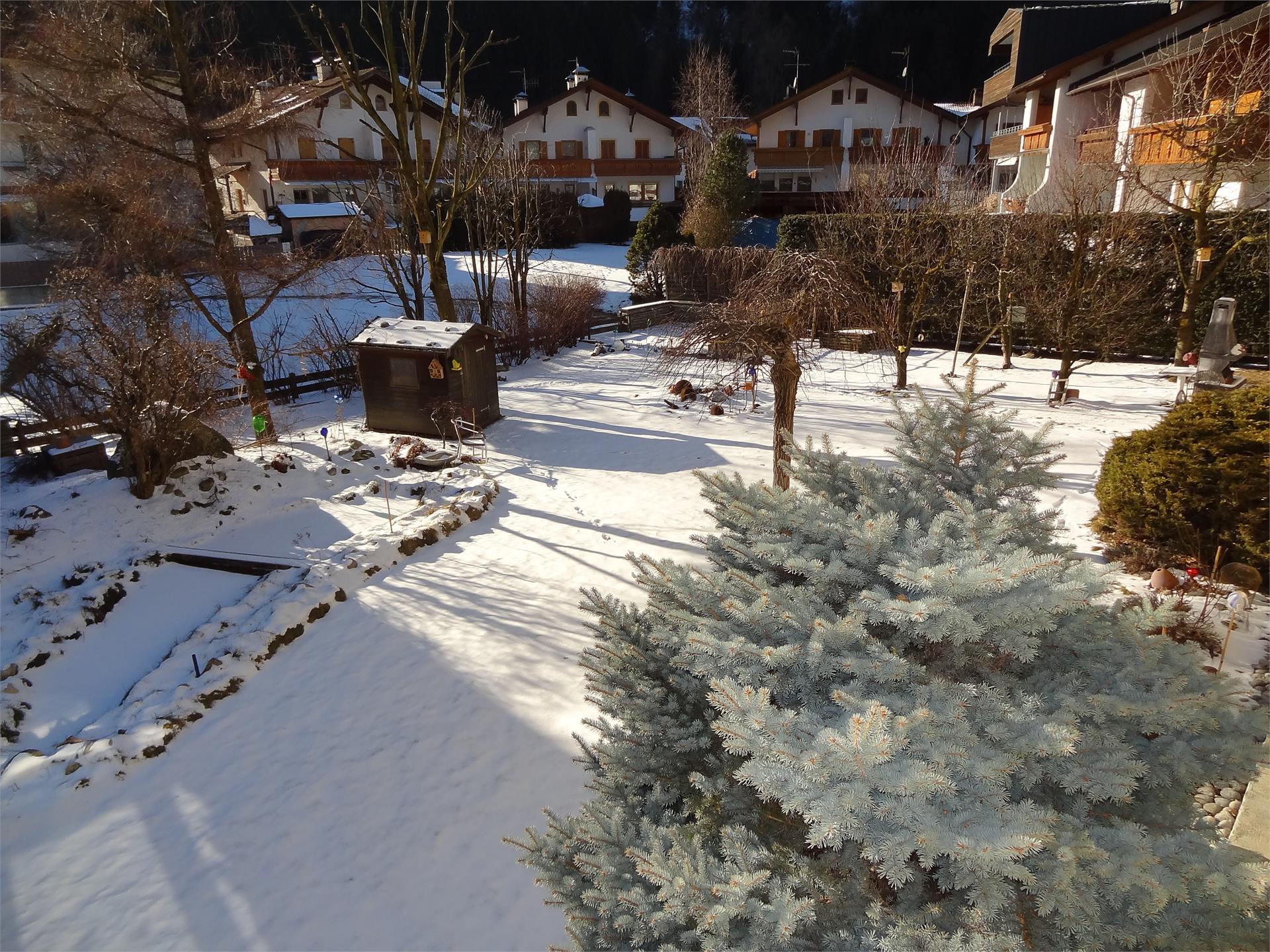 FW Reichegger Hildegard Gais 11 suedtirol.info
