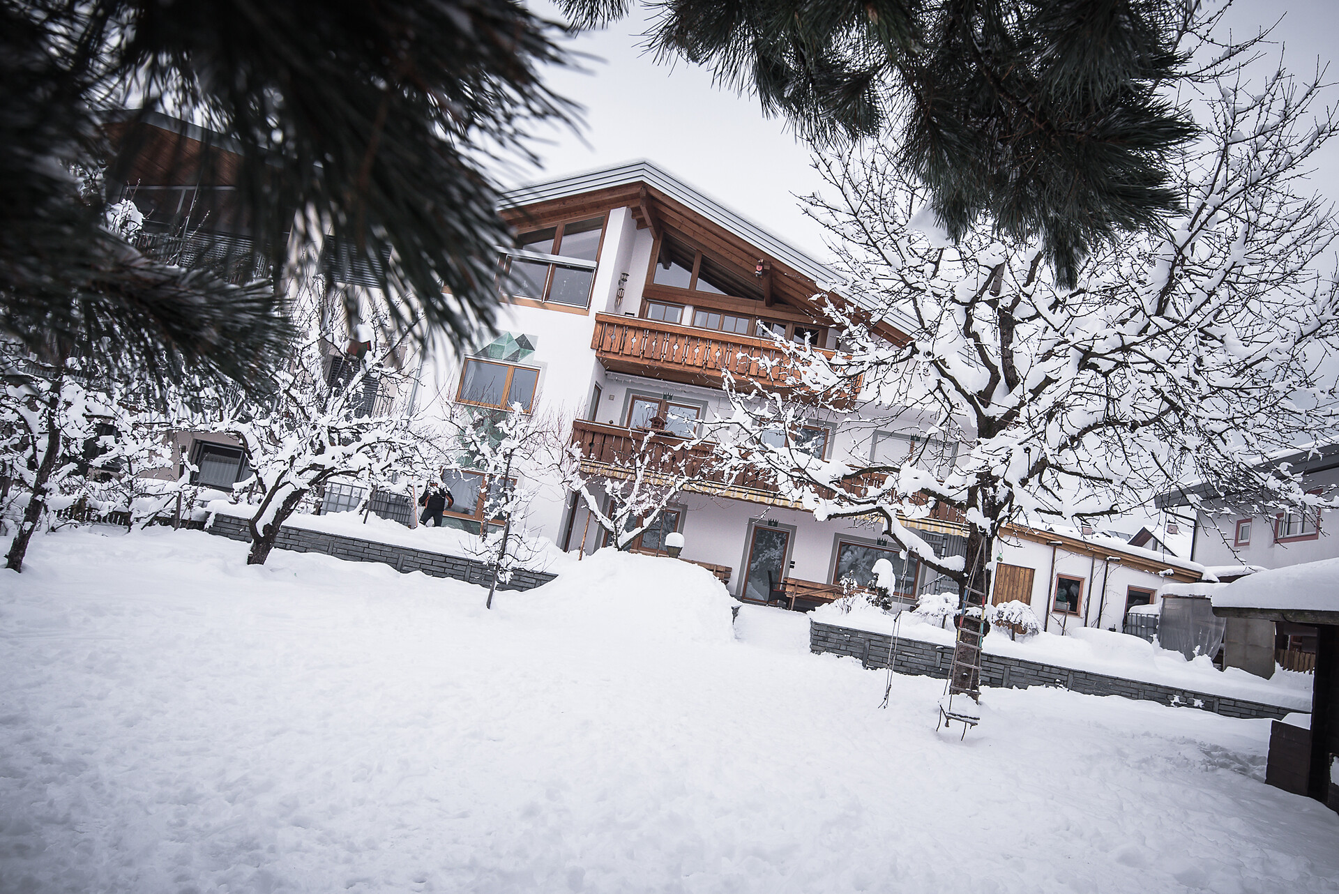 winter garden