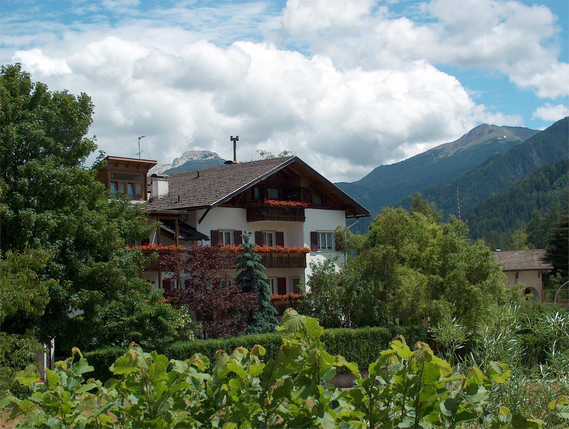 Friedrichshof Trodena 1 suedtirol.info