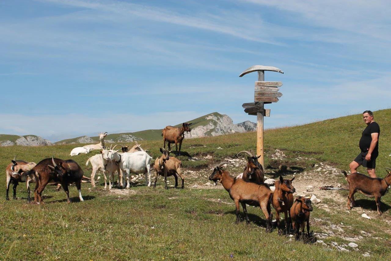 Appartamenti Vordermoar Valdaora 3 suedtirol.info