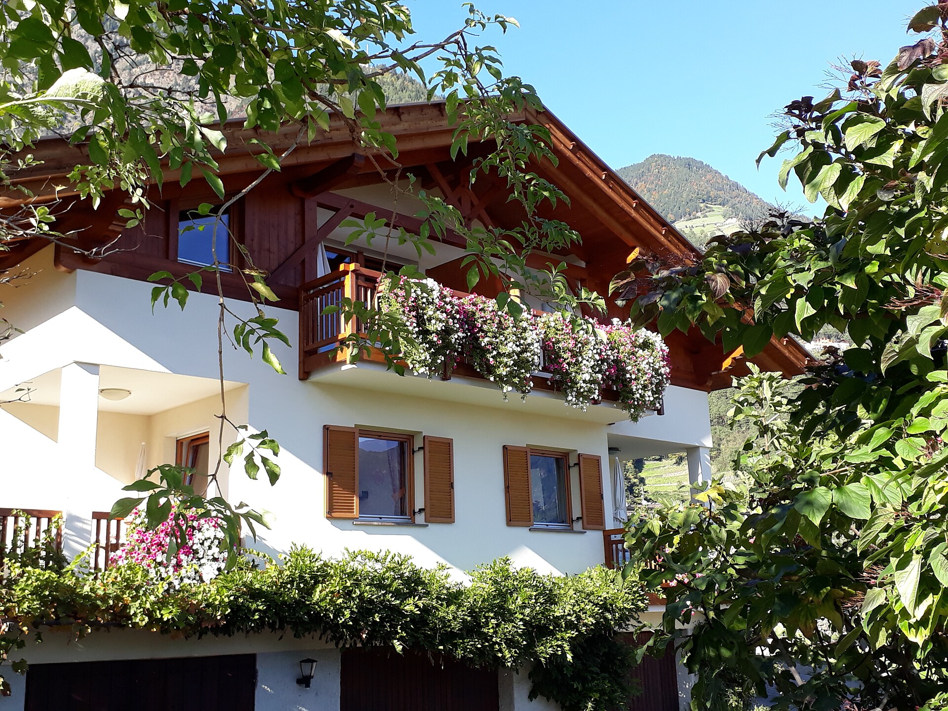house view