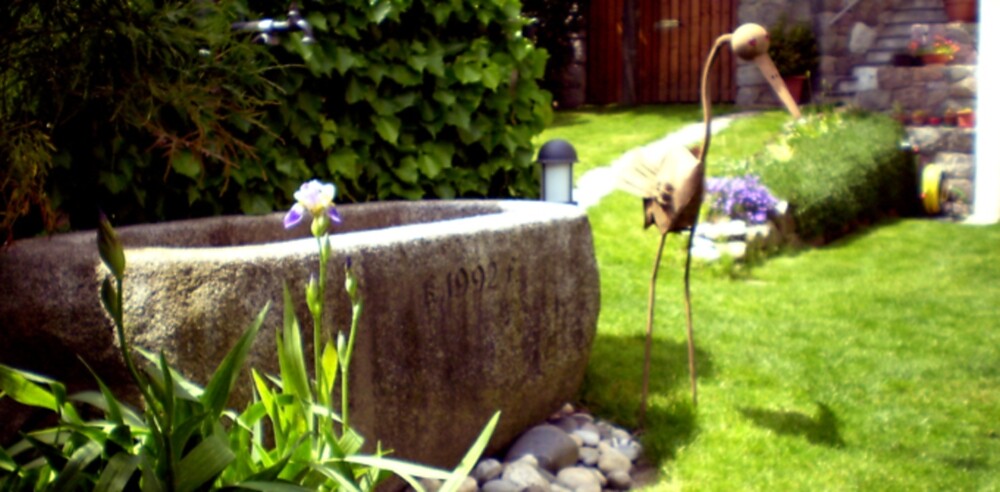 Brunnen