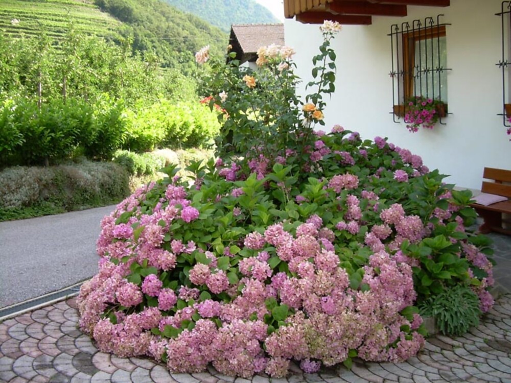 Ferienwohnungen Frelich - Meran und Umgebung - #5 - suedtirol.info