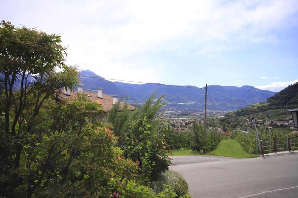 Ferienwohnungen Steinegg Algund 3 suedtirol.info