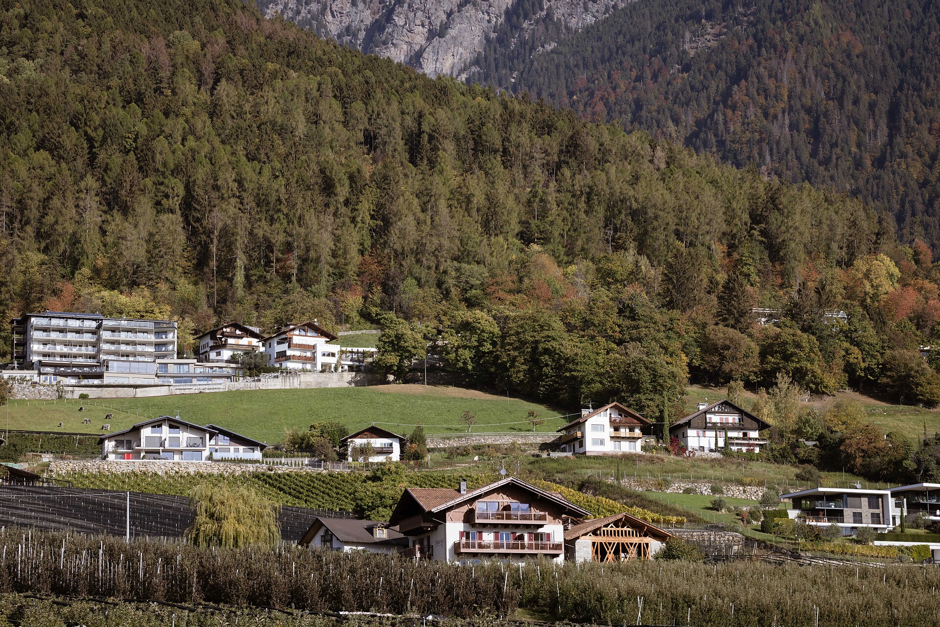 Platterhof