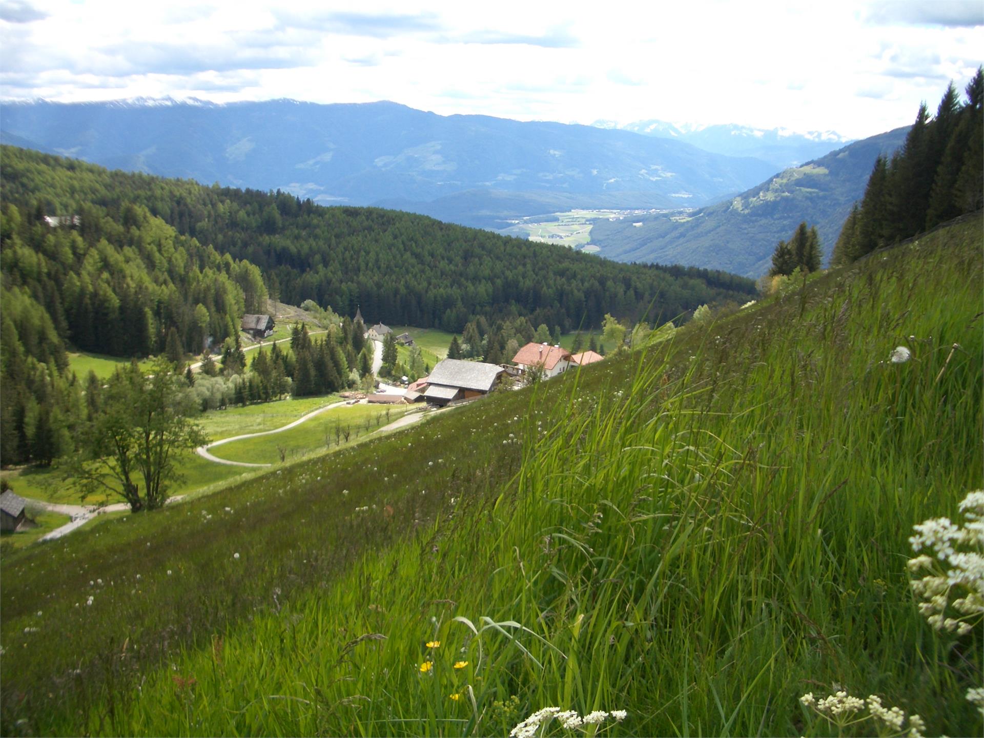 FW Mountain-Lodge Oberplantal Gais 4 suedtirol.info
