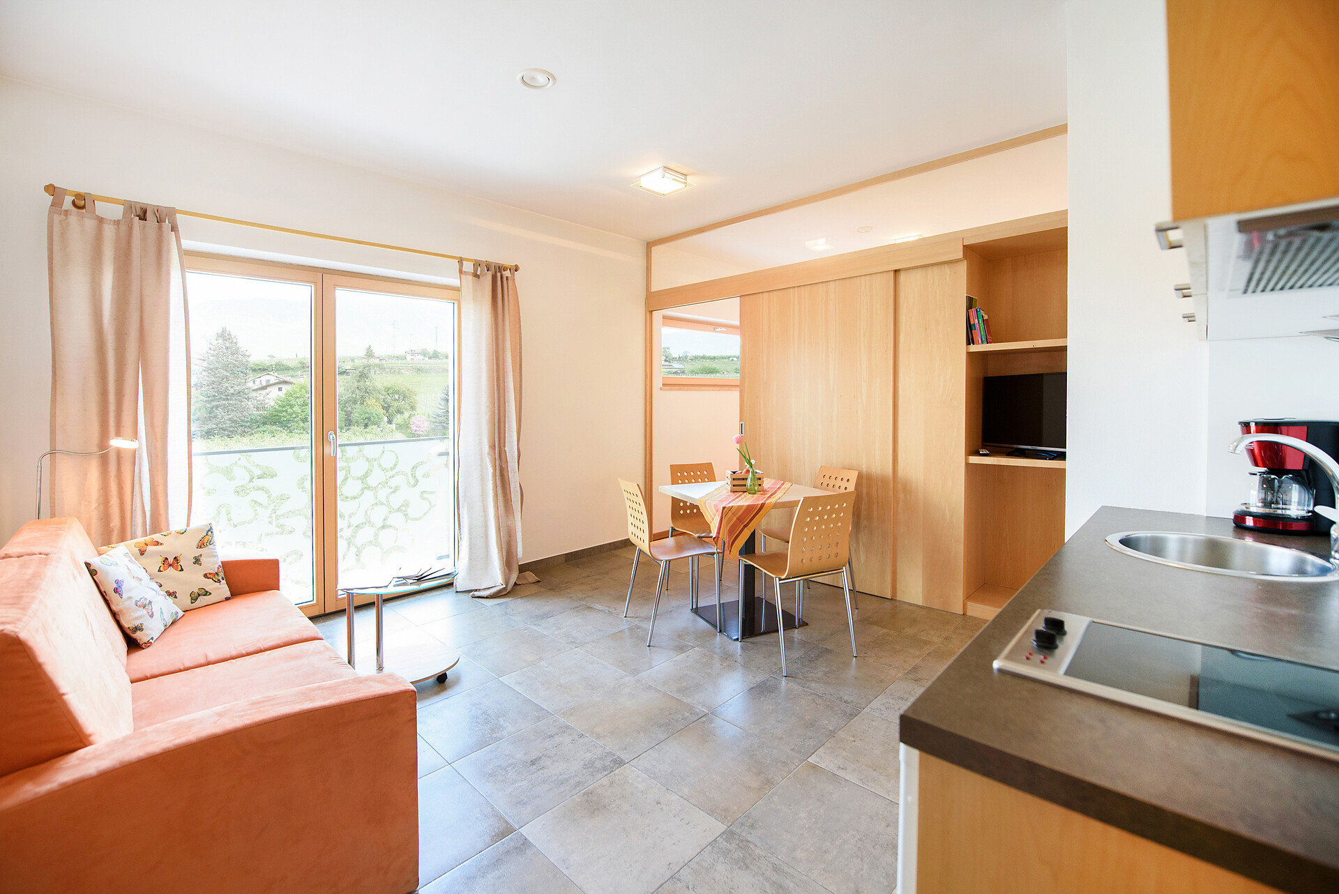 Living room with kitchen and sofa/bed