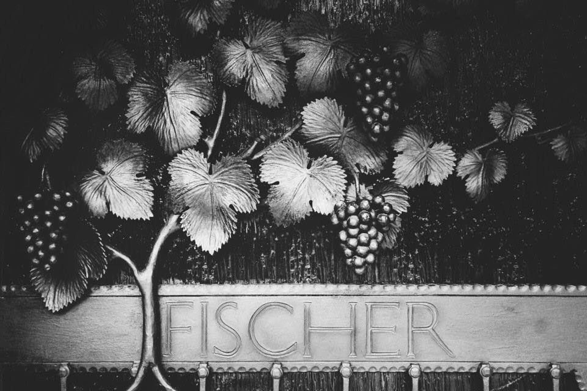Fischerhof - Südtiroler Weinstraße - #3 - suedtirol.info