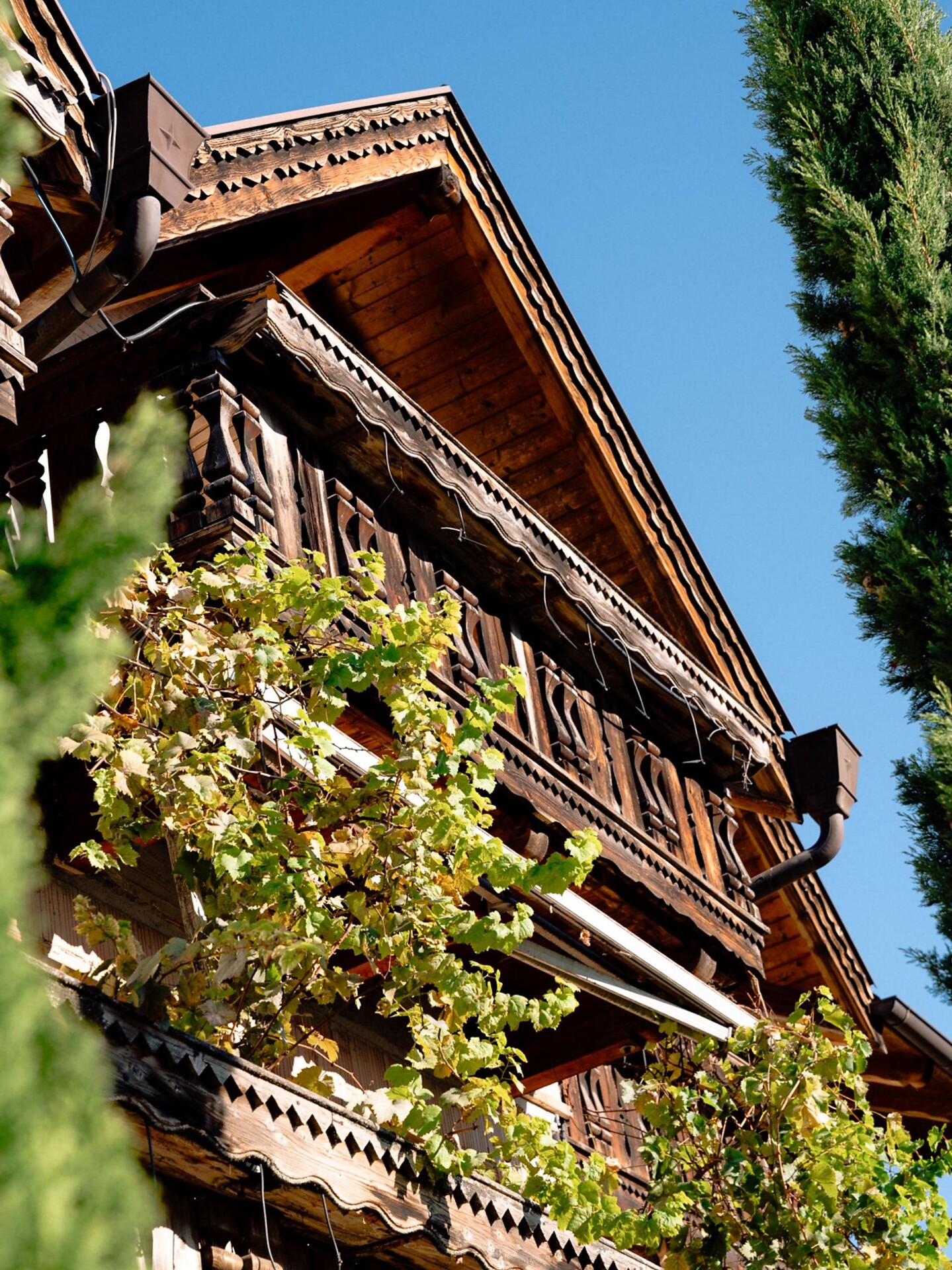 Fischerhof - Südtiroler Weinstraße - #2 - suedtirol.info