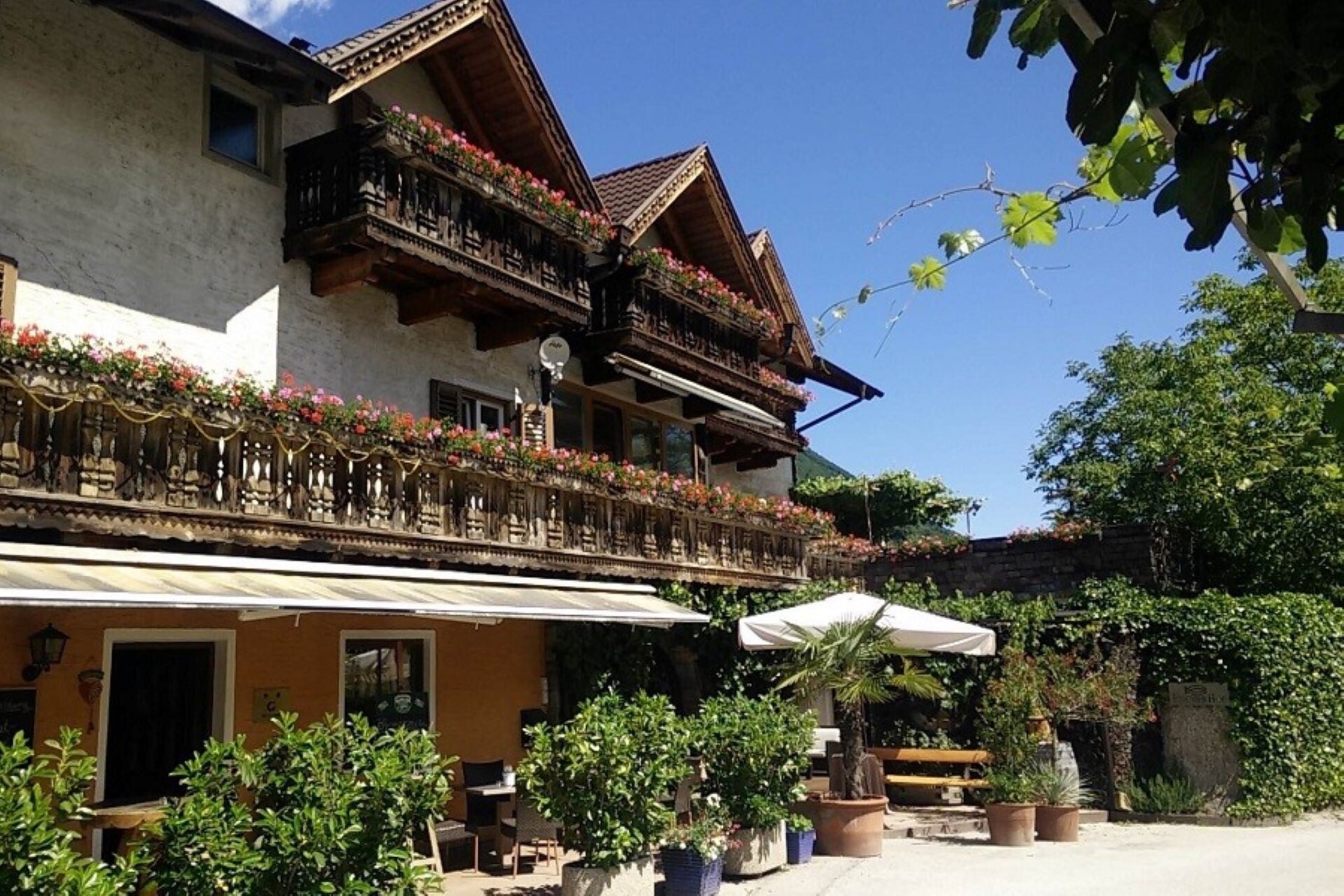 Fischerhof Kurtatsch an der Weinstraße/Cortaccia sulla Strada del Vino 1 suedtirol.info