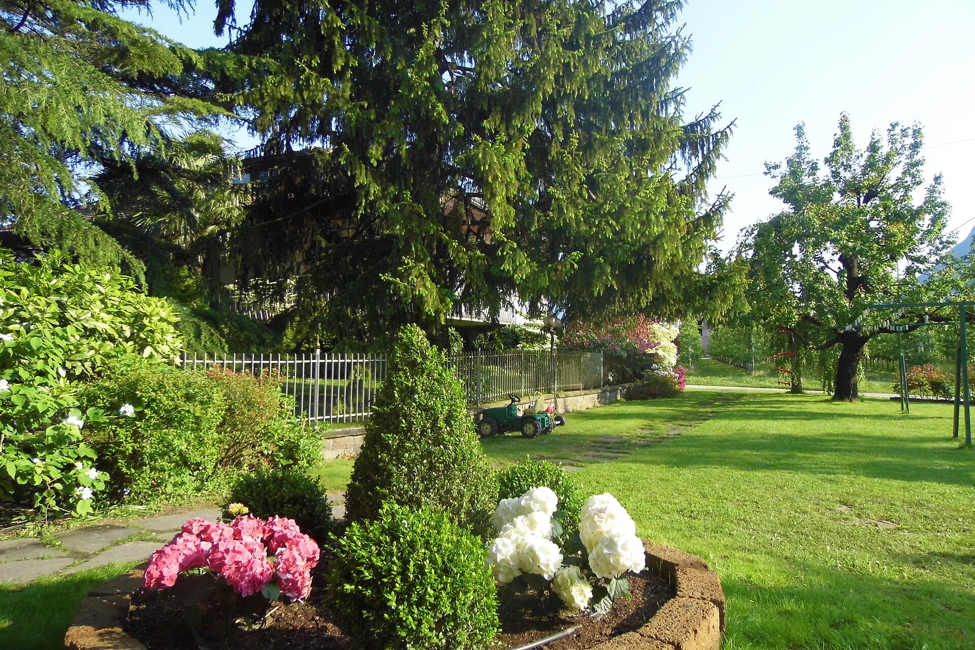 garden