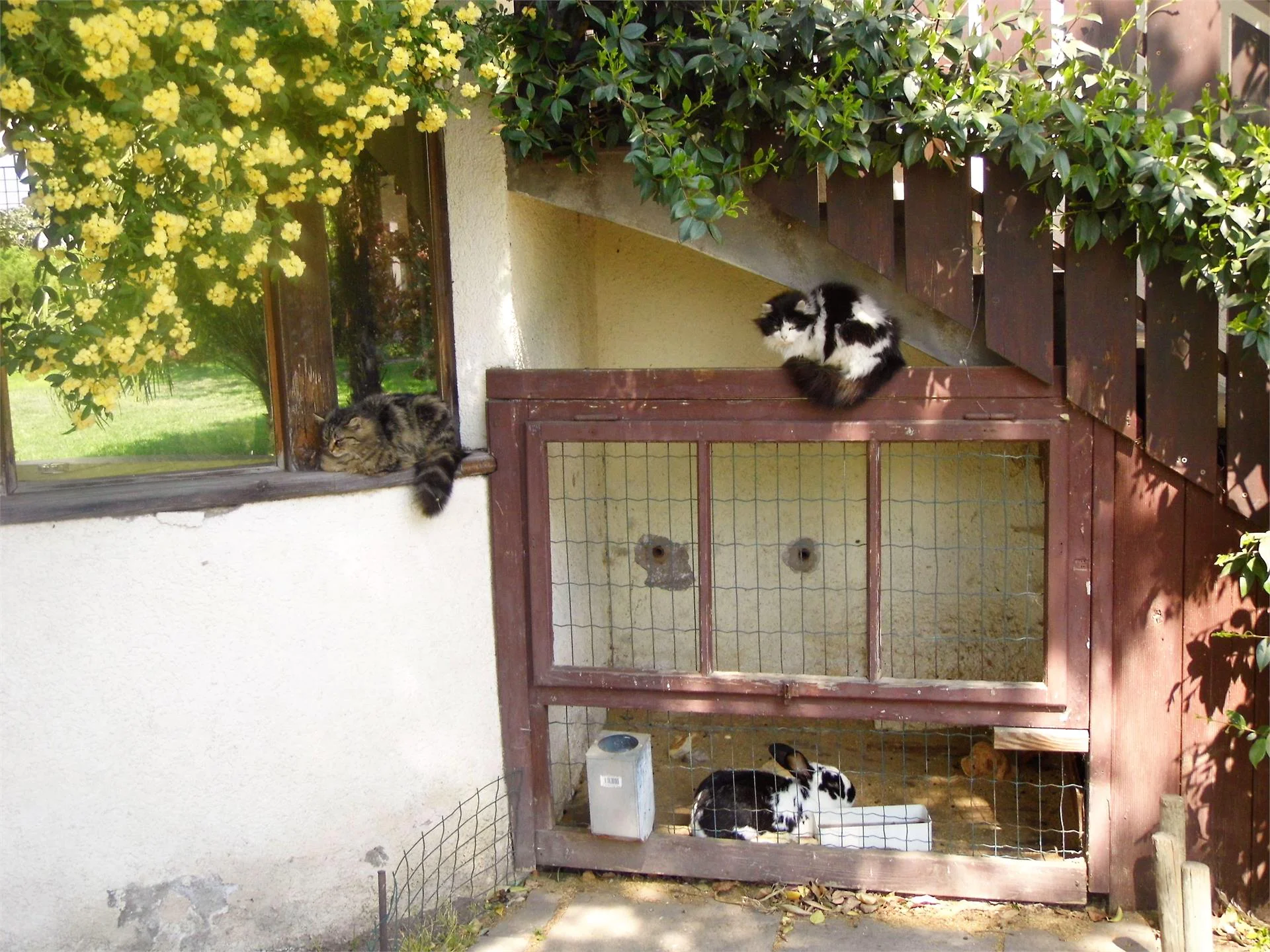 Appartamenti Hirschenhof Vadena 25 suedtirol.info
