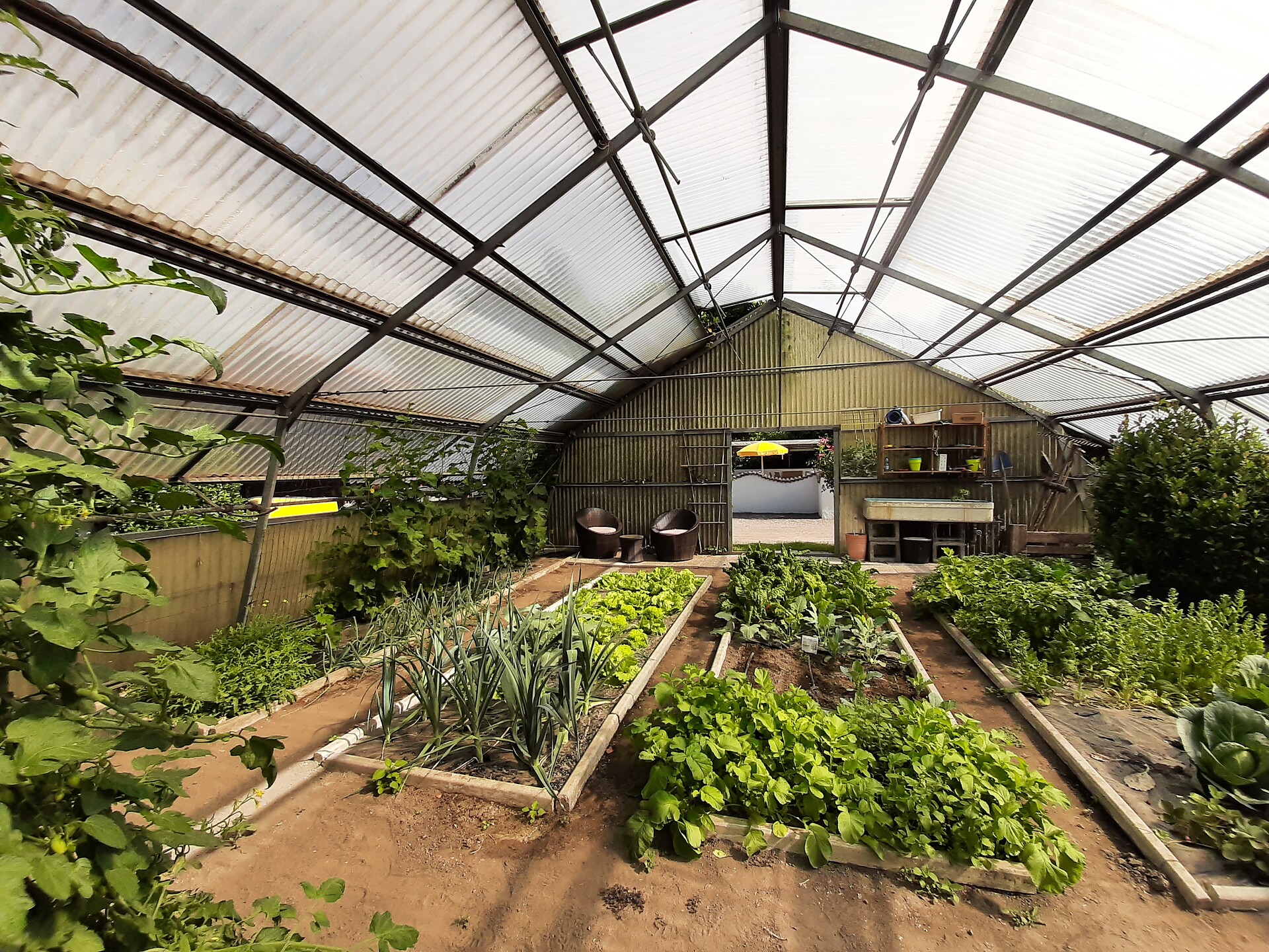 our vegetables