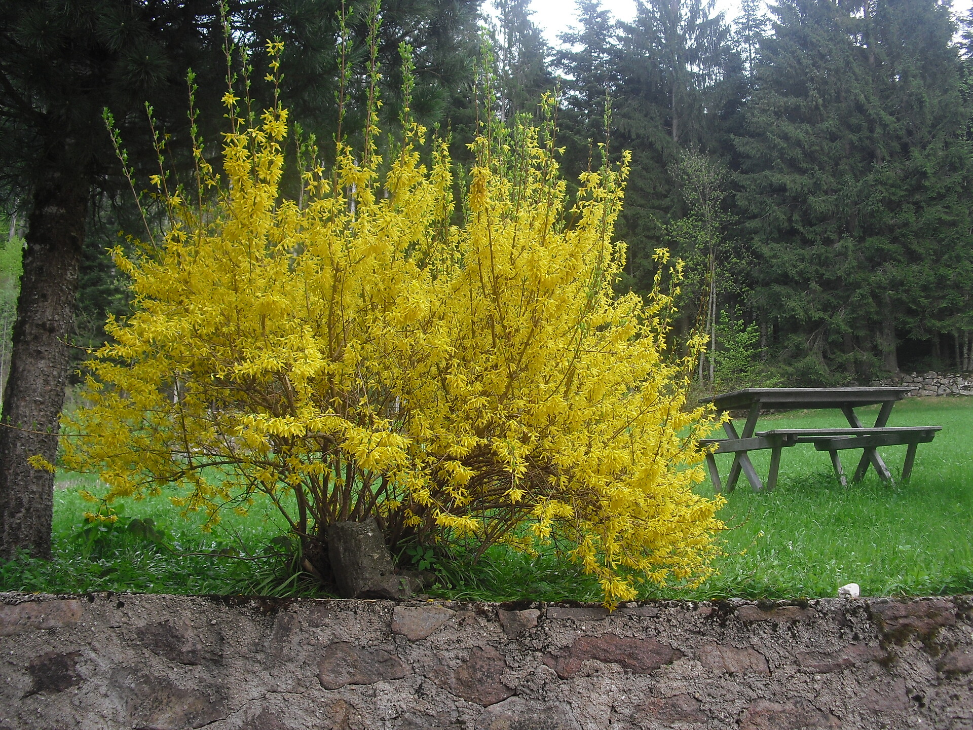 Finally springtime