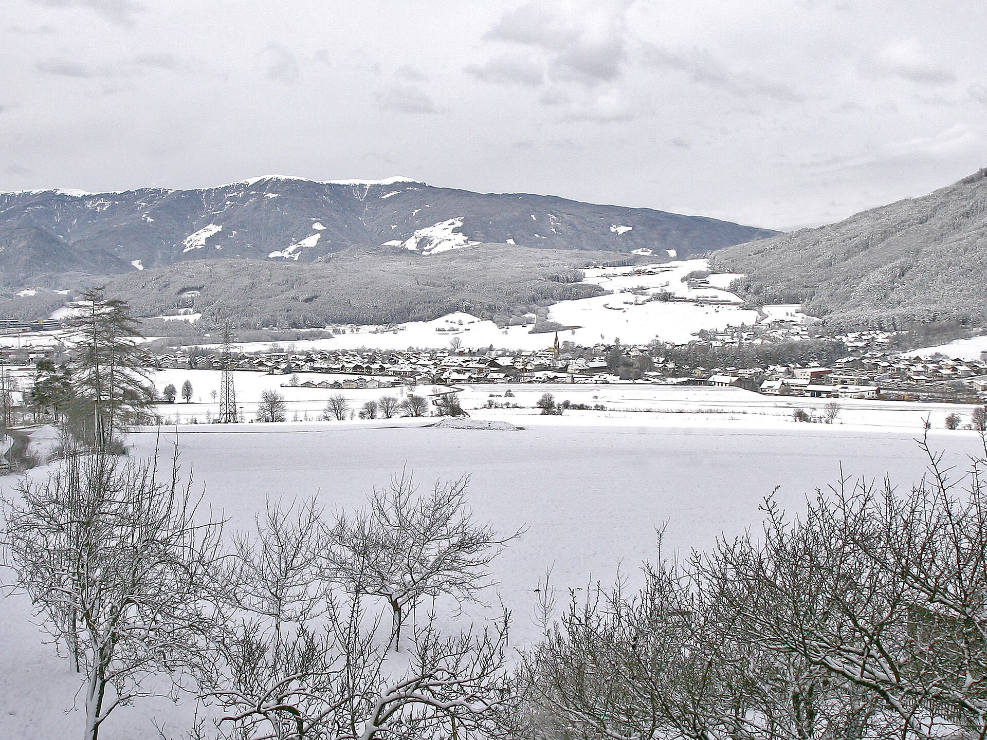 FW Oberhoferhof