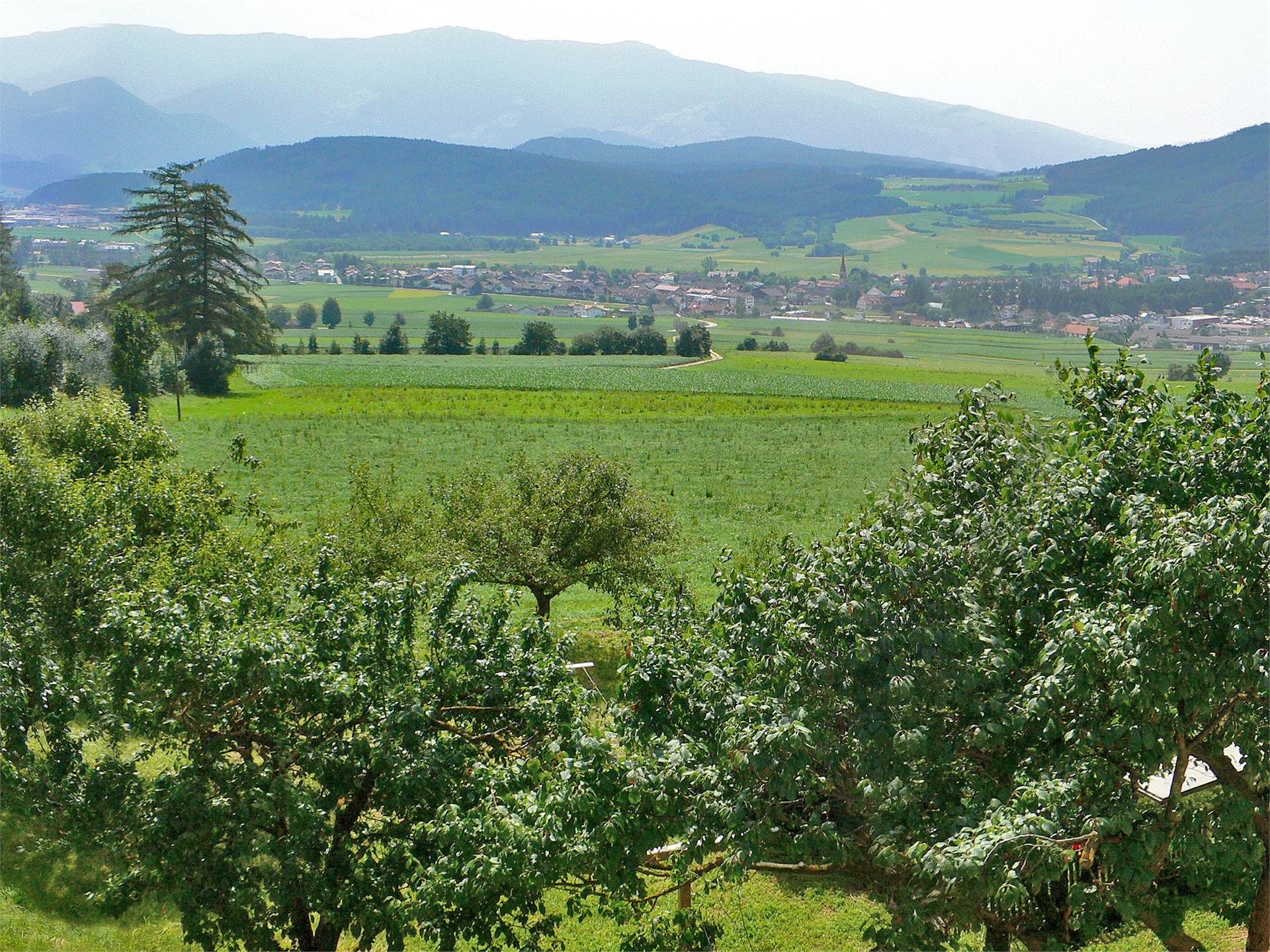 FW Oberhoferhof Bruneck/Brunico 9 suedtirol.info