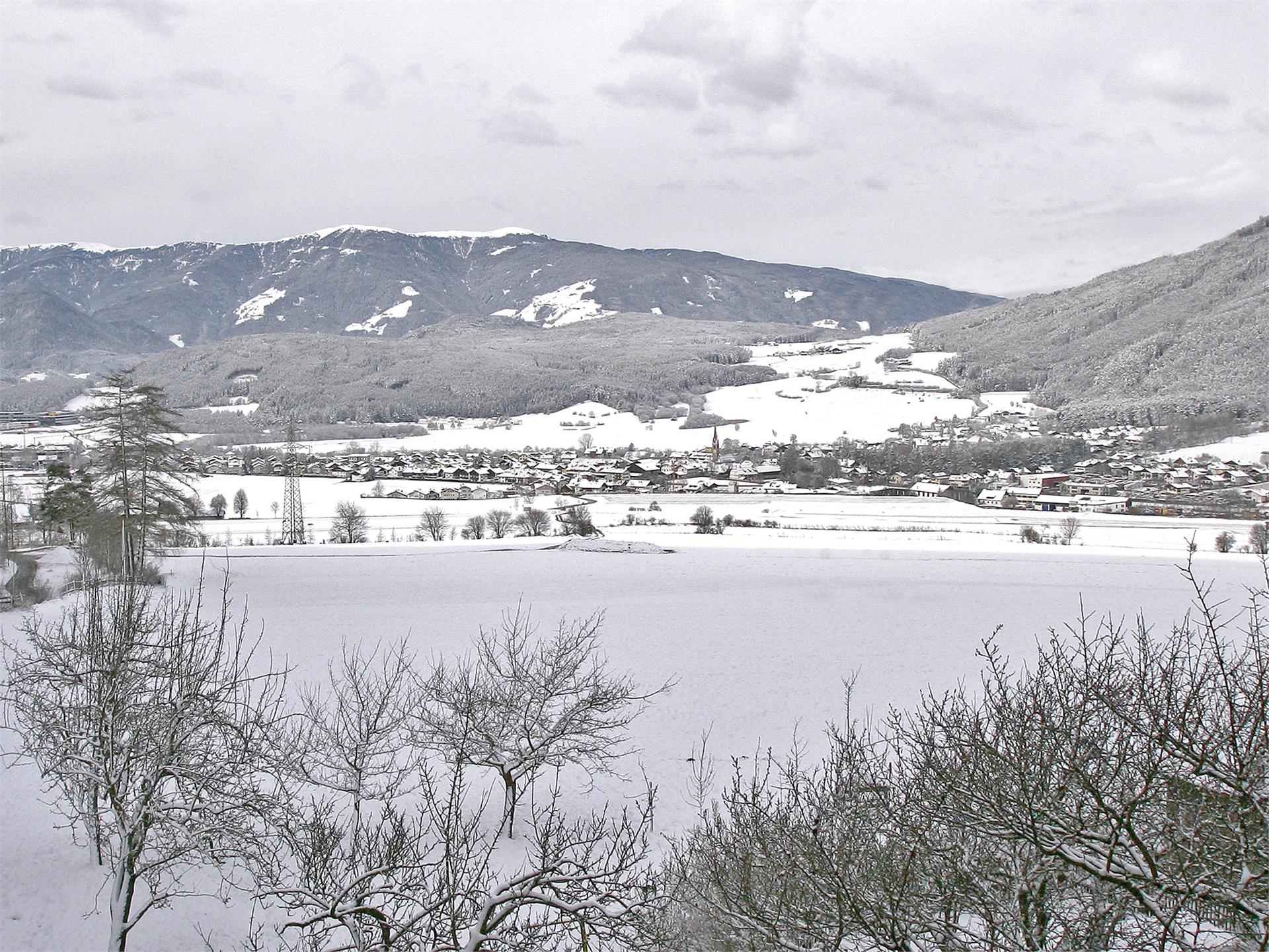 FW Oberhoferhof Bruneck/Brunico 10 suedtirol.info