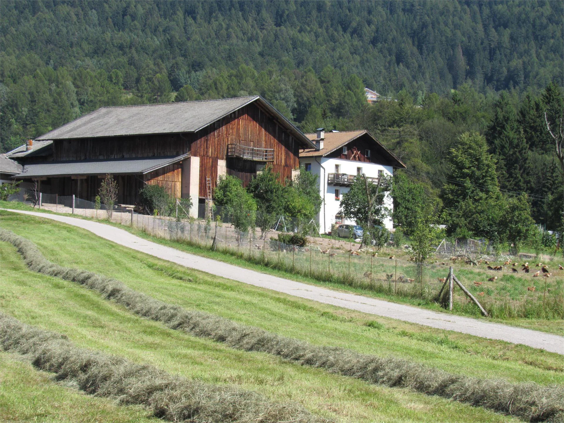 Appartamenti Tielerhof Aldino 1 suedtirol.info
