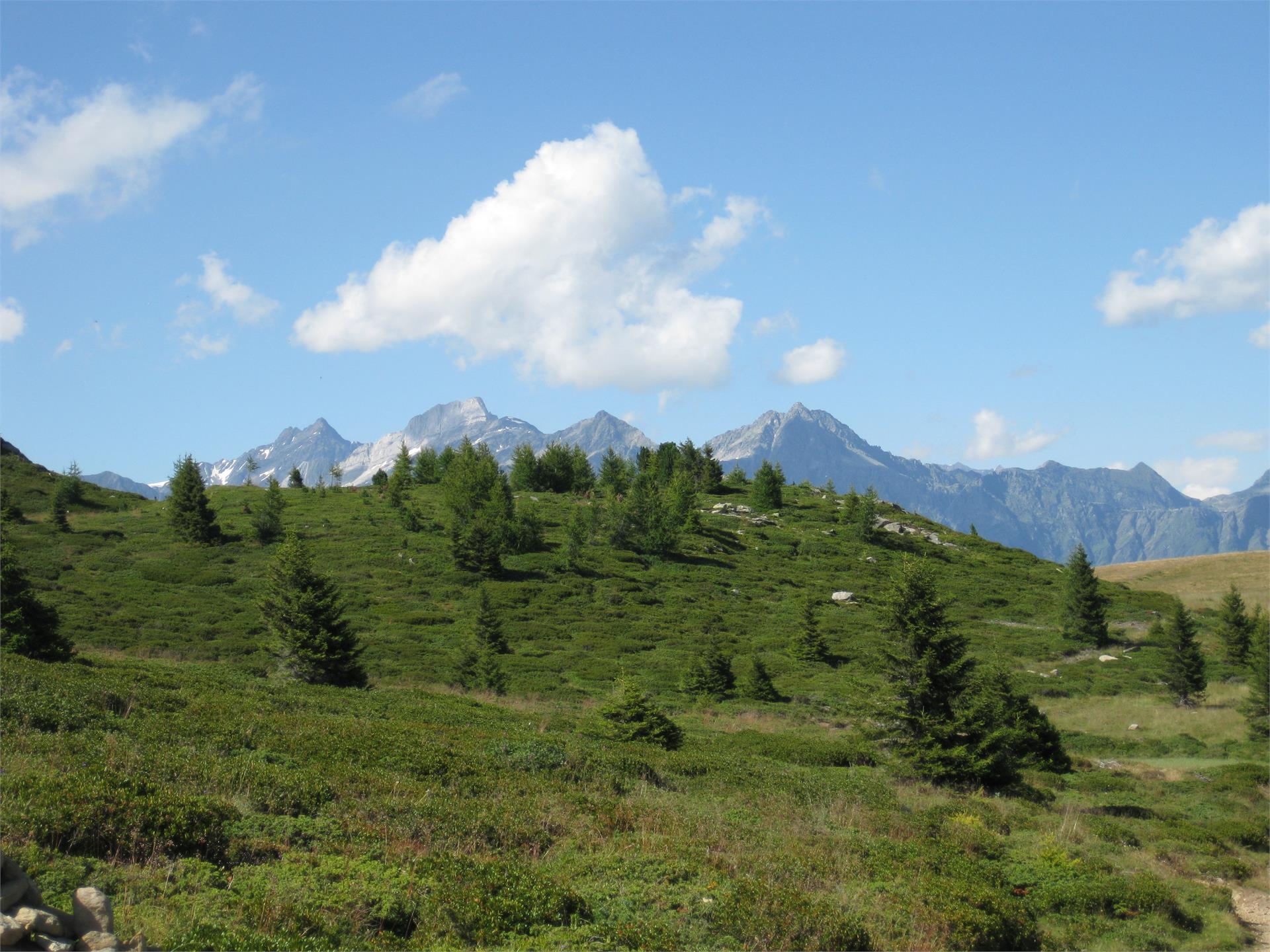 Ferienwohnungen Texel Partschins 16 suedtirol.info