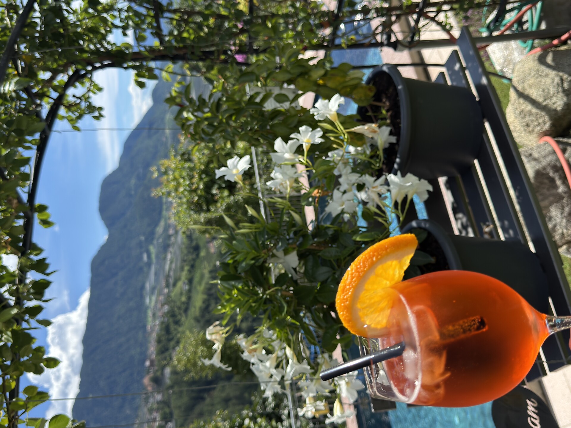 Aperitiv in the garden