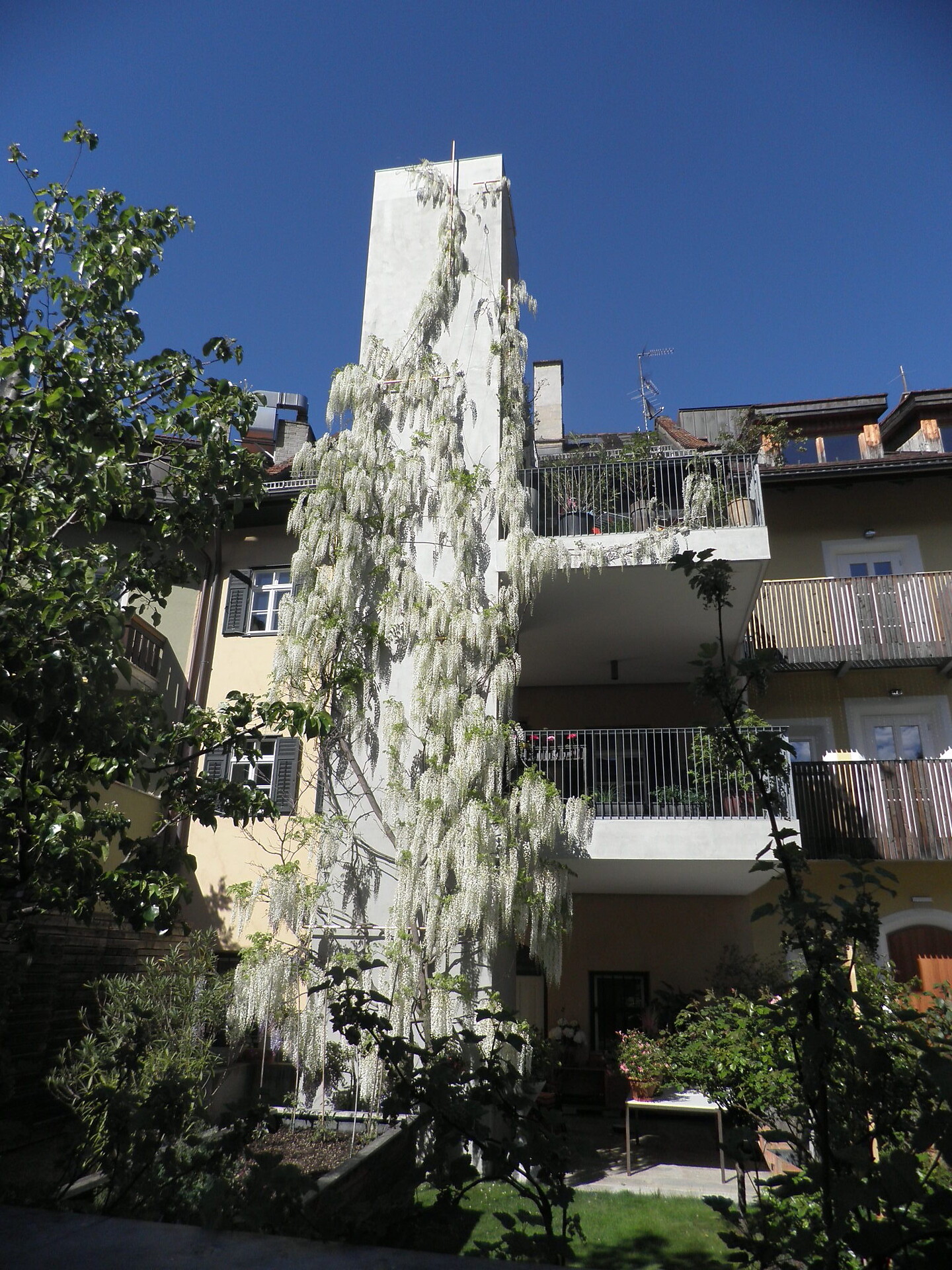 home beletage