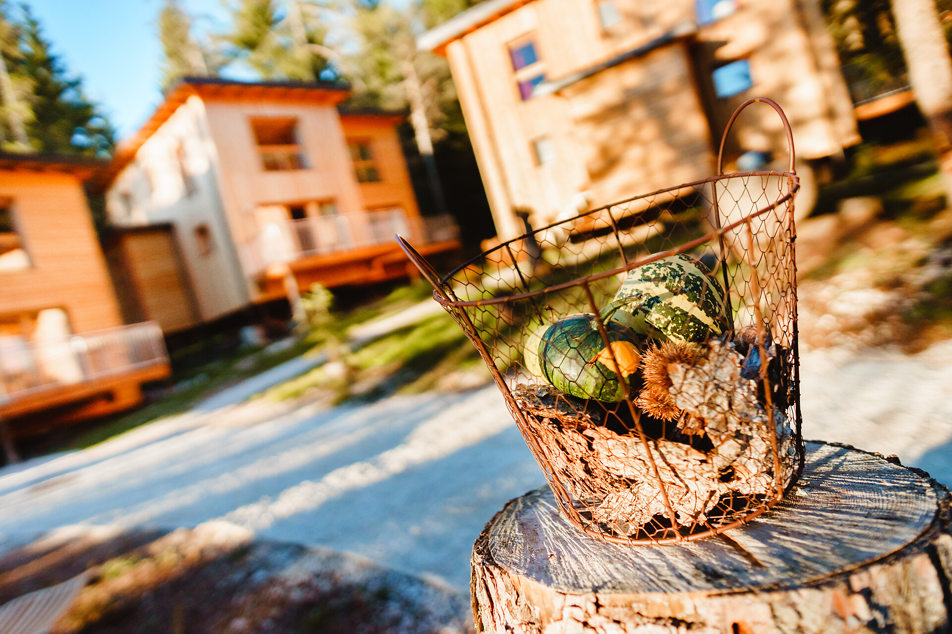 FeliZitas Chalet - Merano e dintorni - #2 - suedtirol.info