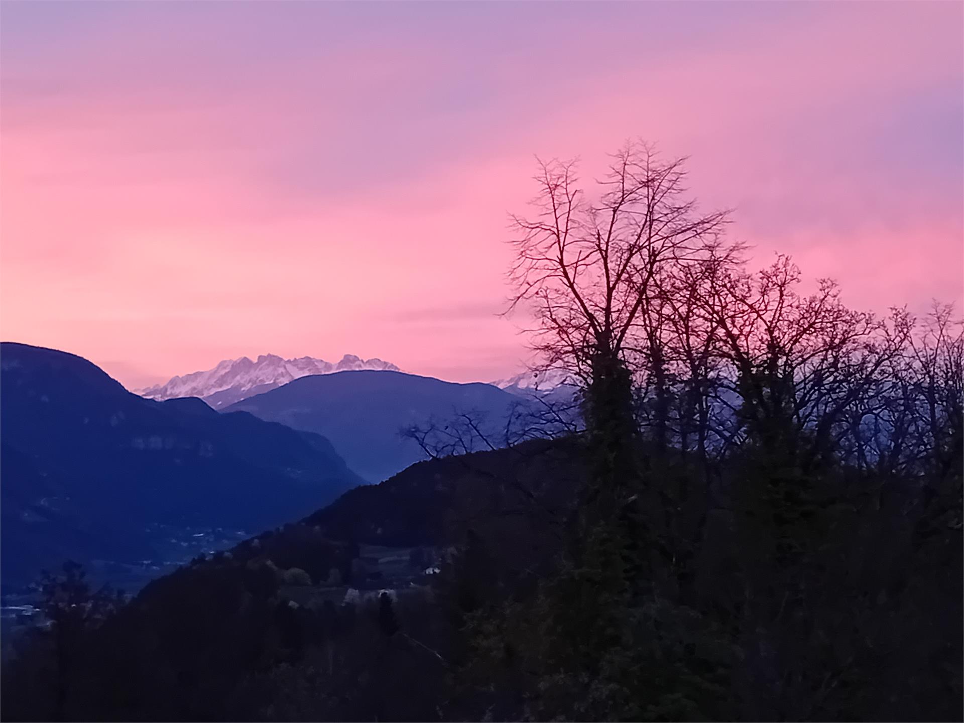 FEWO Passo Palade Tisens/Tesimo 8 suedtirol.info