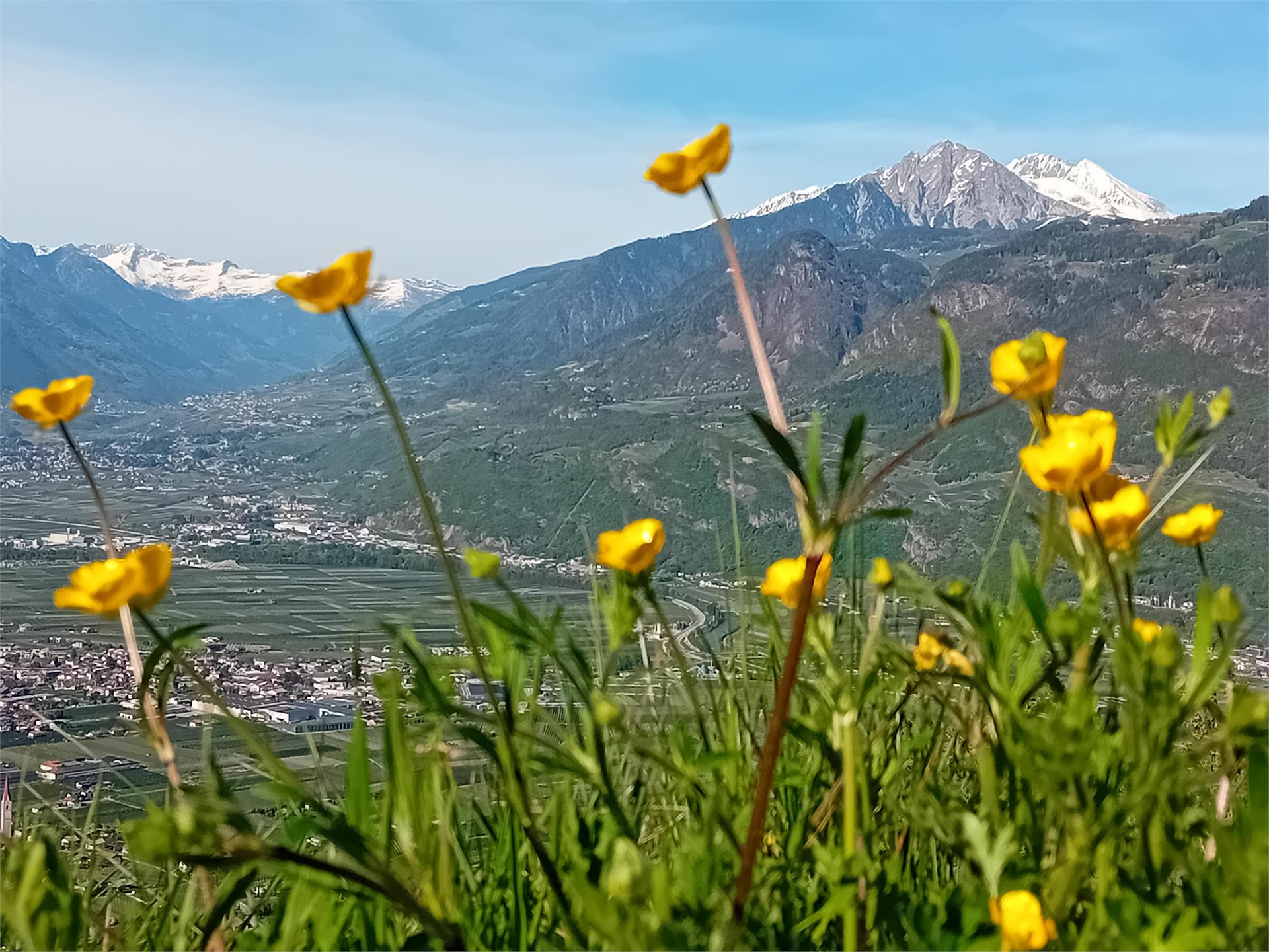FEWO Passo Palade Tisens/Tesimo 10 suedtirol.info