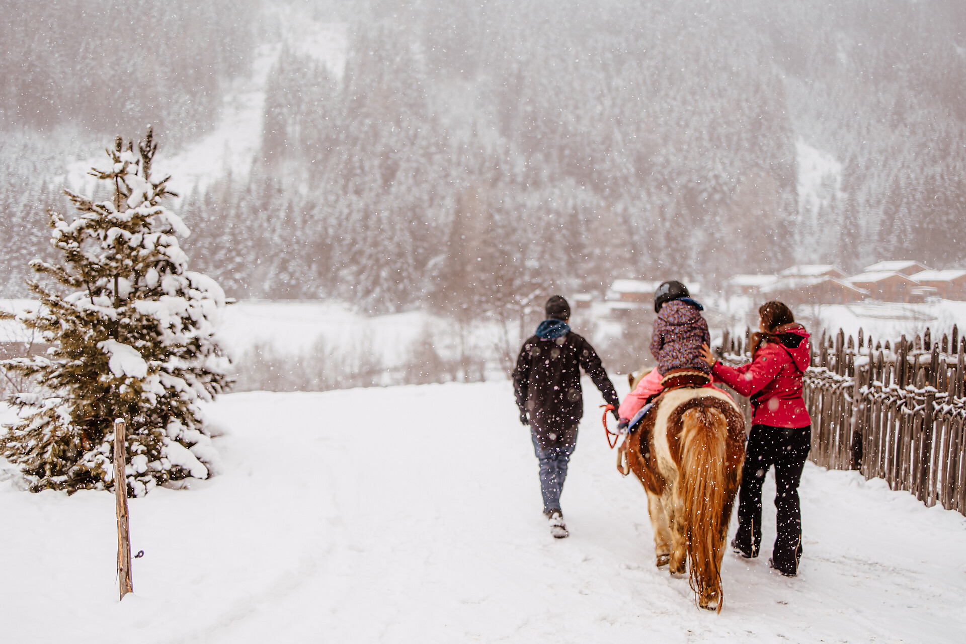 Pony reiten