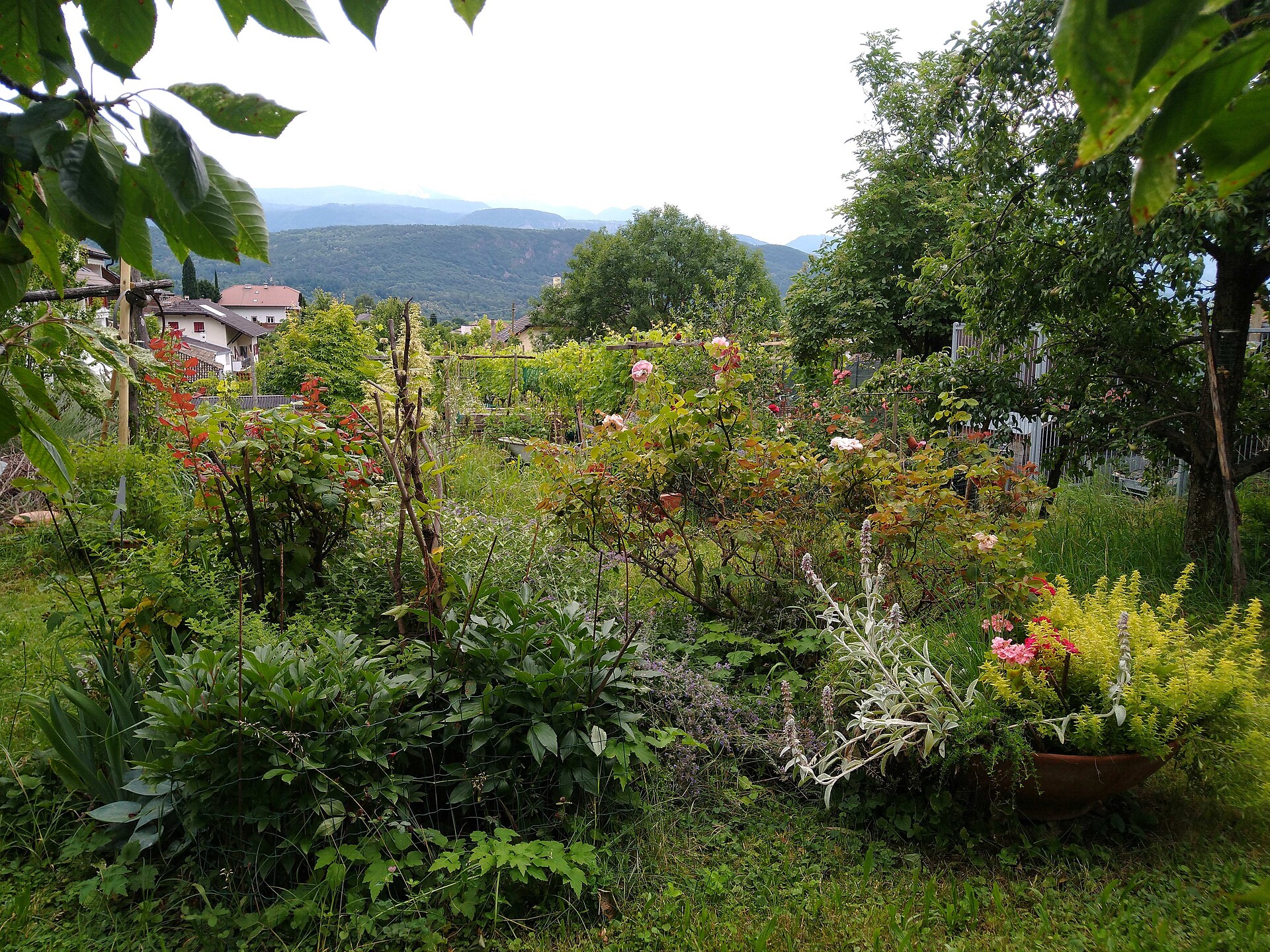 Garten