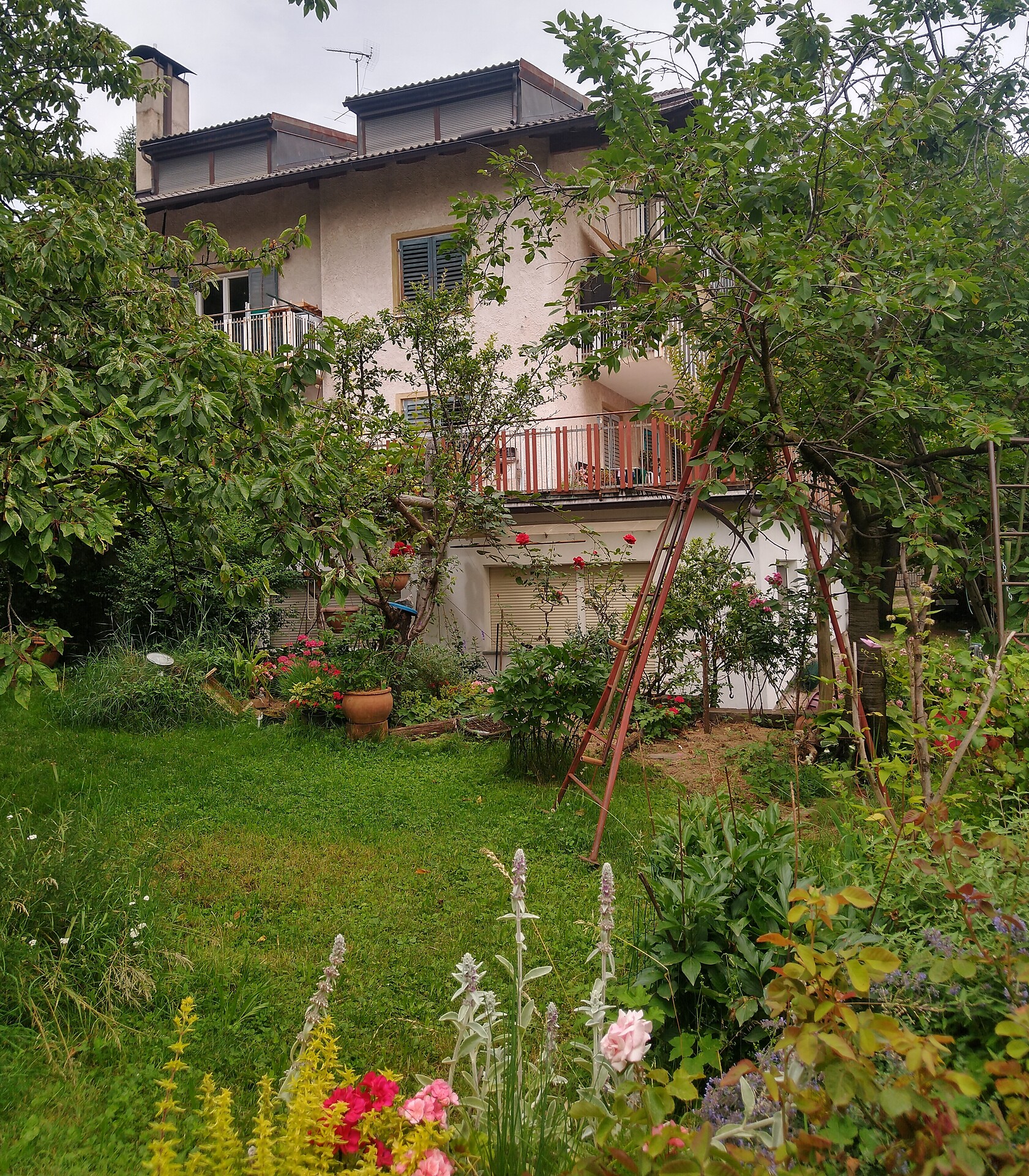 Ferienwohnung Margherita Bertagnolli