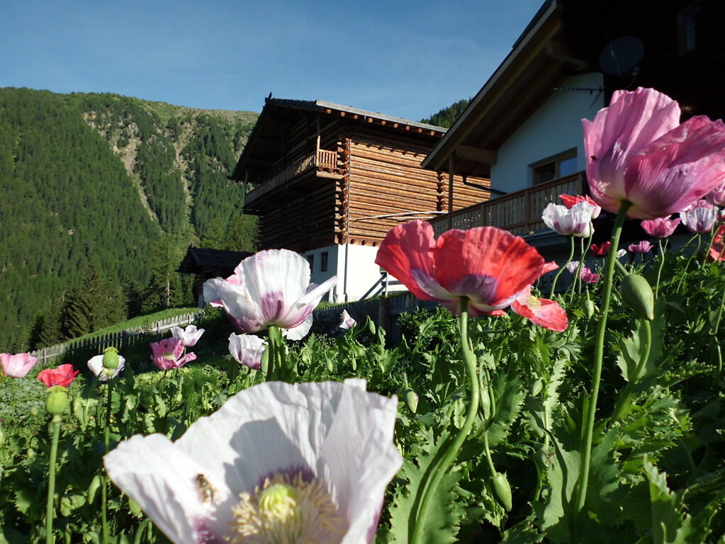 Gigglhirn Ulten 6 suedtirol.info