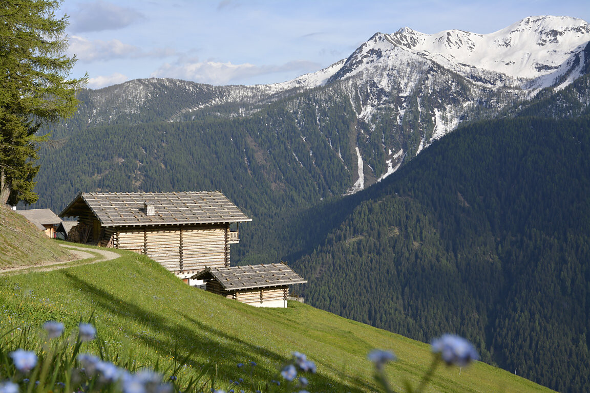 Gigglhirn Ulten 3 suedtirol.info