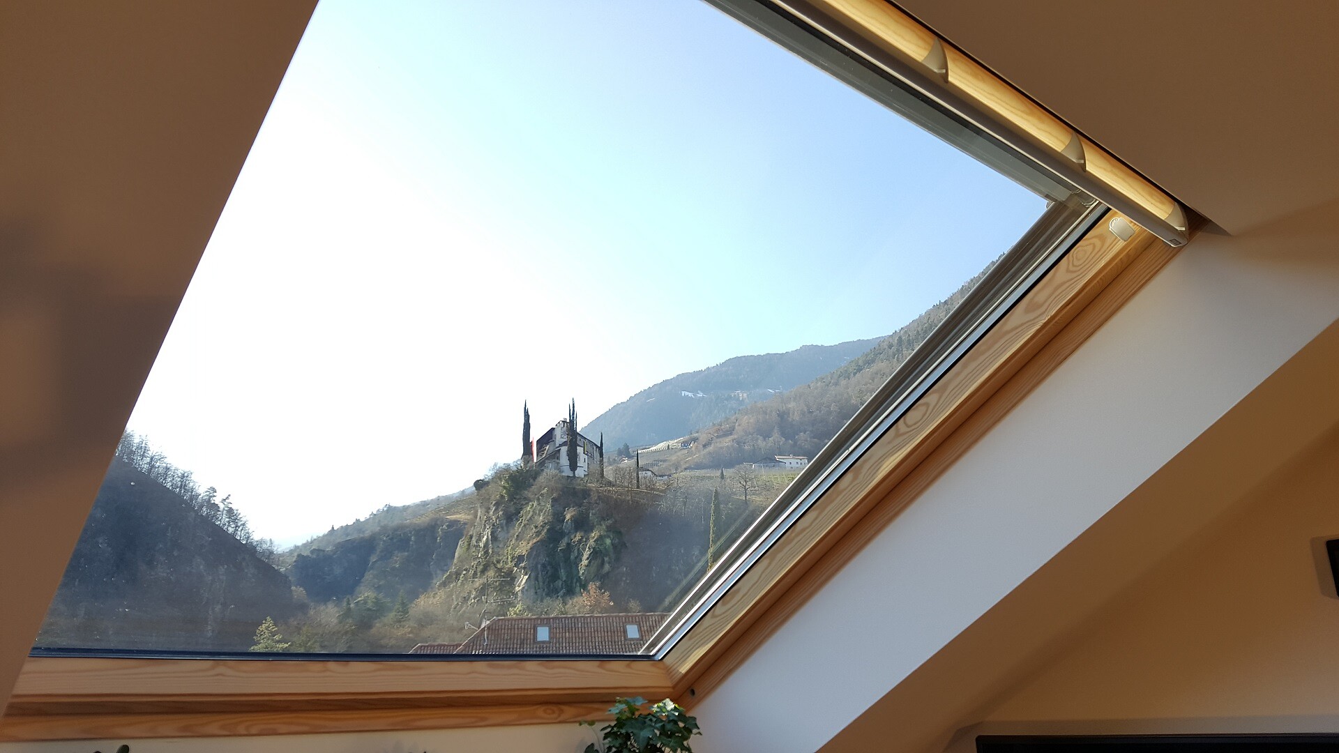 Aussicht [Grüne Wohnung]