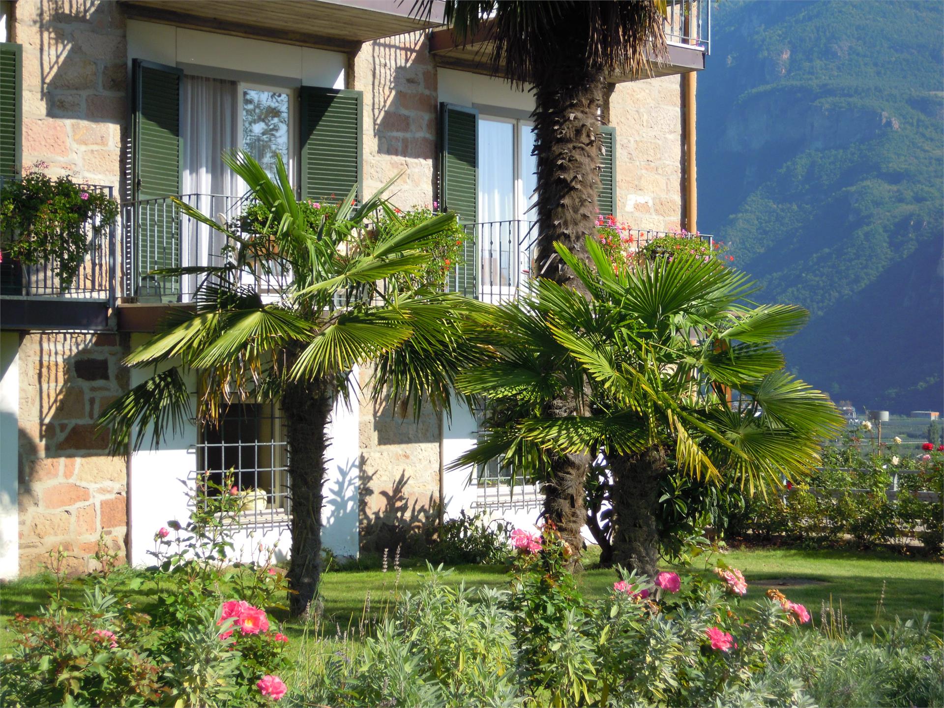 Garni Zeder Andriano 4 suedtirol.info