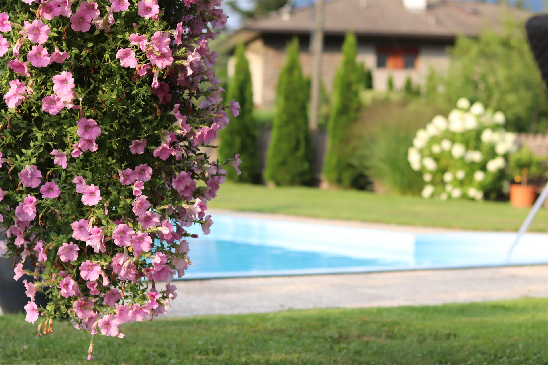 Garni Unterhaslerhof Merano 9 suedtirol.info