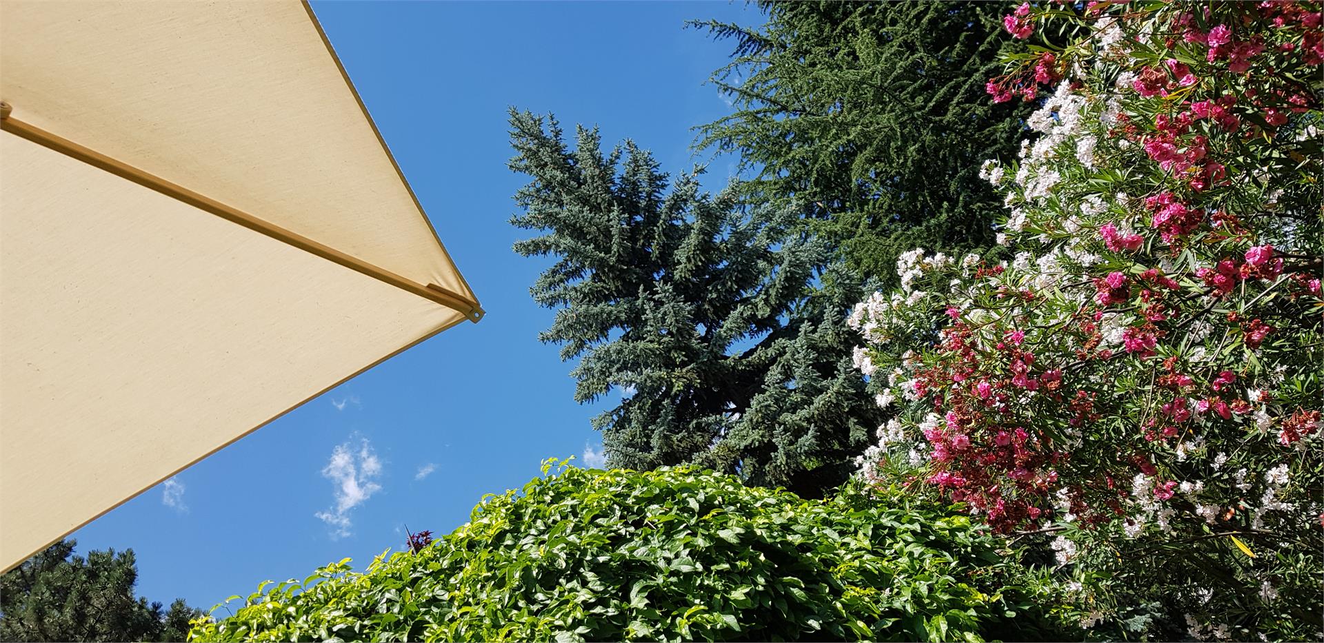 Gartenresidence Zea Curtis Meran/Merano 20 suedtirol.info