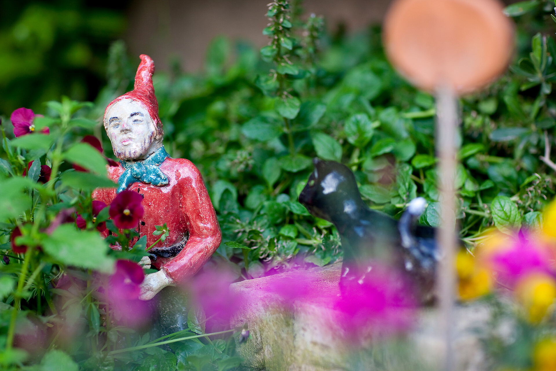 Herb garden