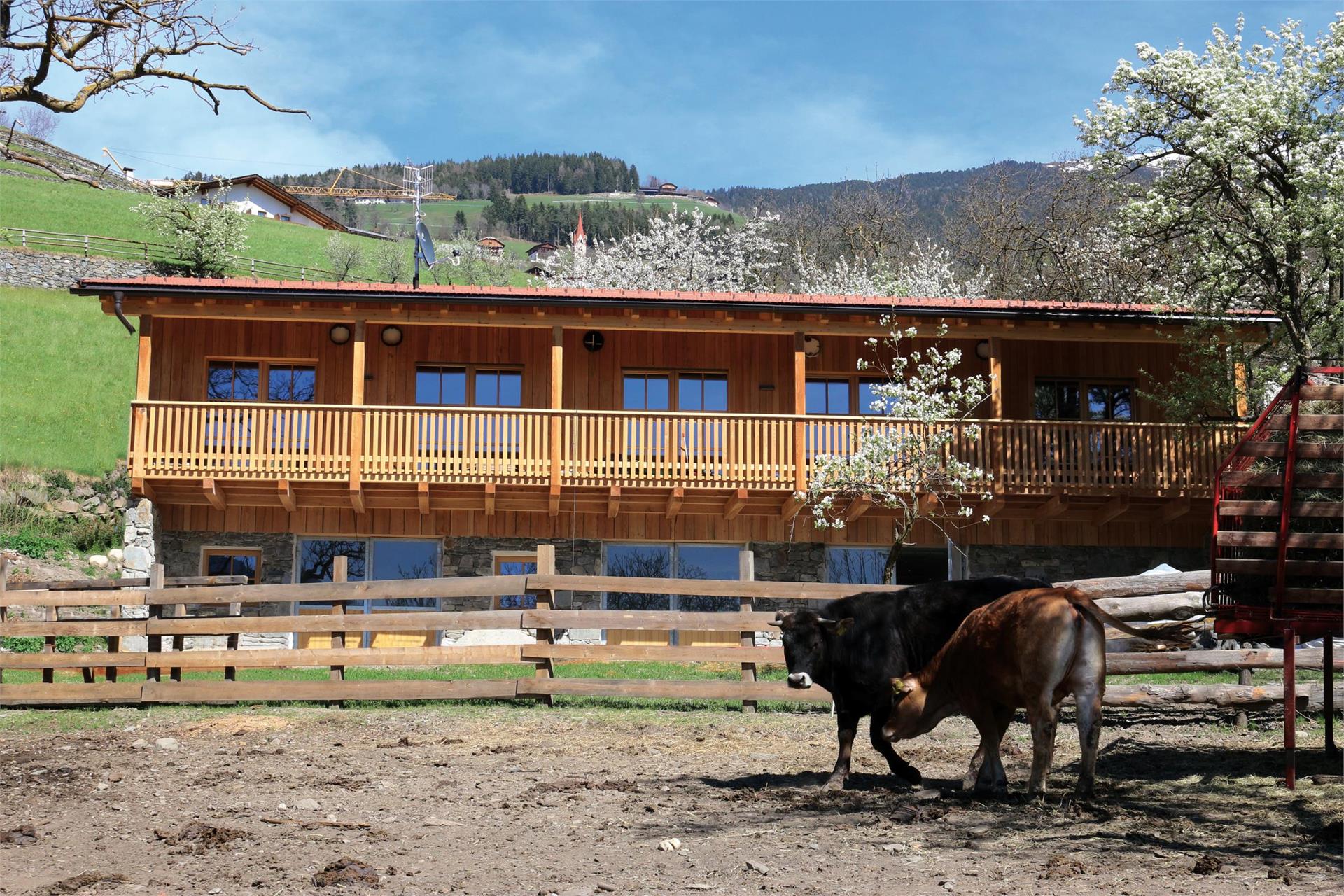 Gebreitnerhof Brixen/Bressanone 1 suedtirol.info