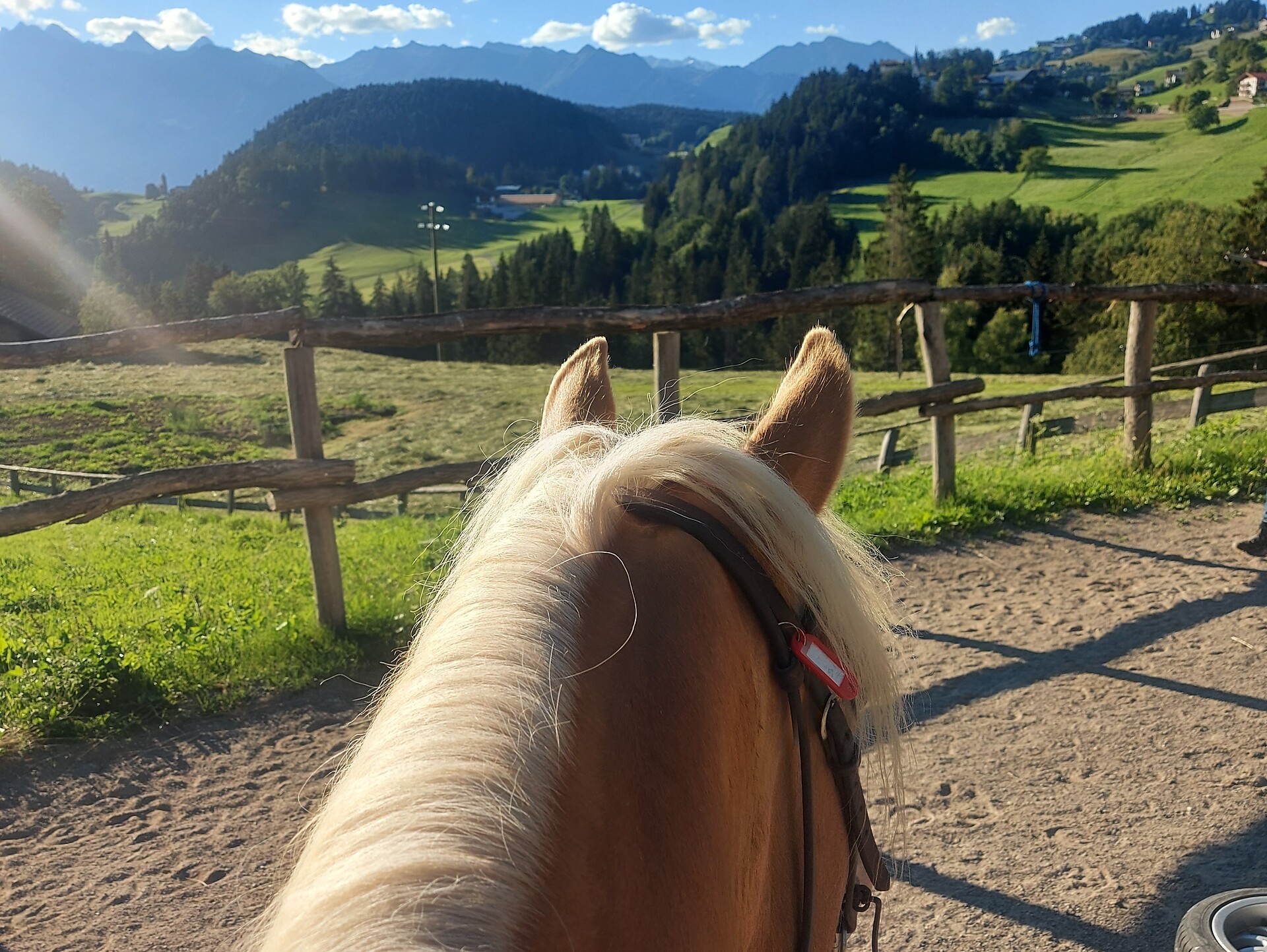 Gfreinhof ad Avelengo, Alto Adige